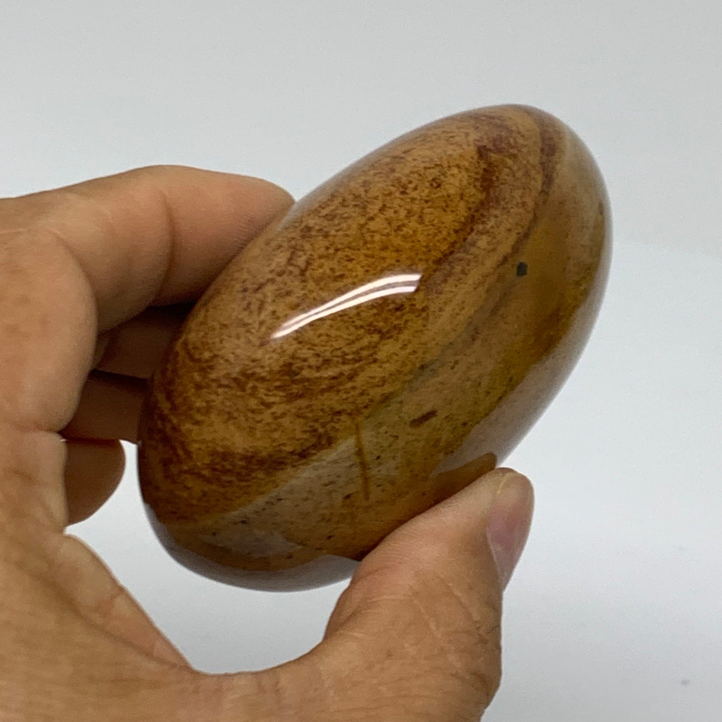 218g, 2.9"x2.3"x1.5" Natural Ocean Jasper Palm-Stone Orbicular Jasper, B38181