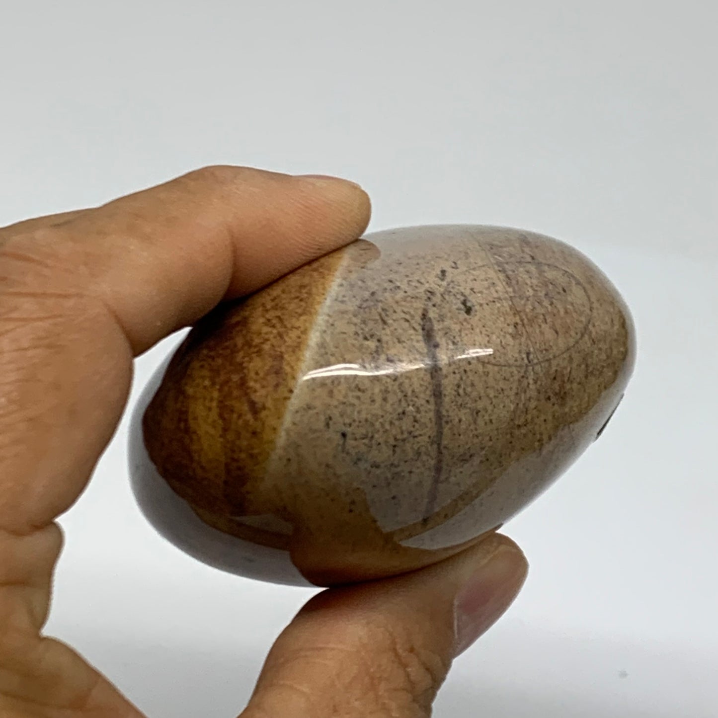 218g, 2.9"x2.3"x1.5" Natural Ocean Jasper Palm-Stone Orbicular Jasper, B38181