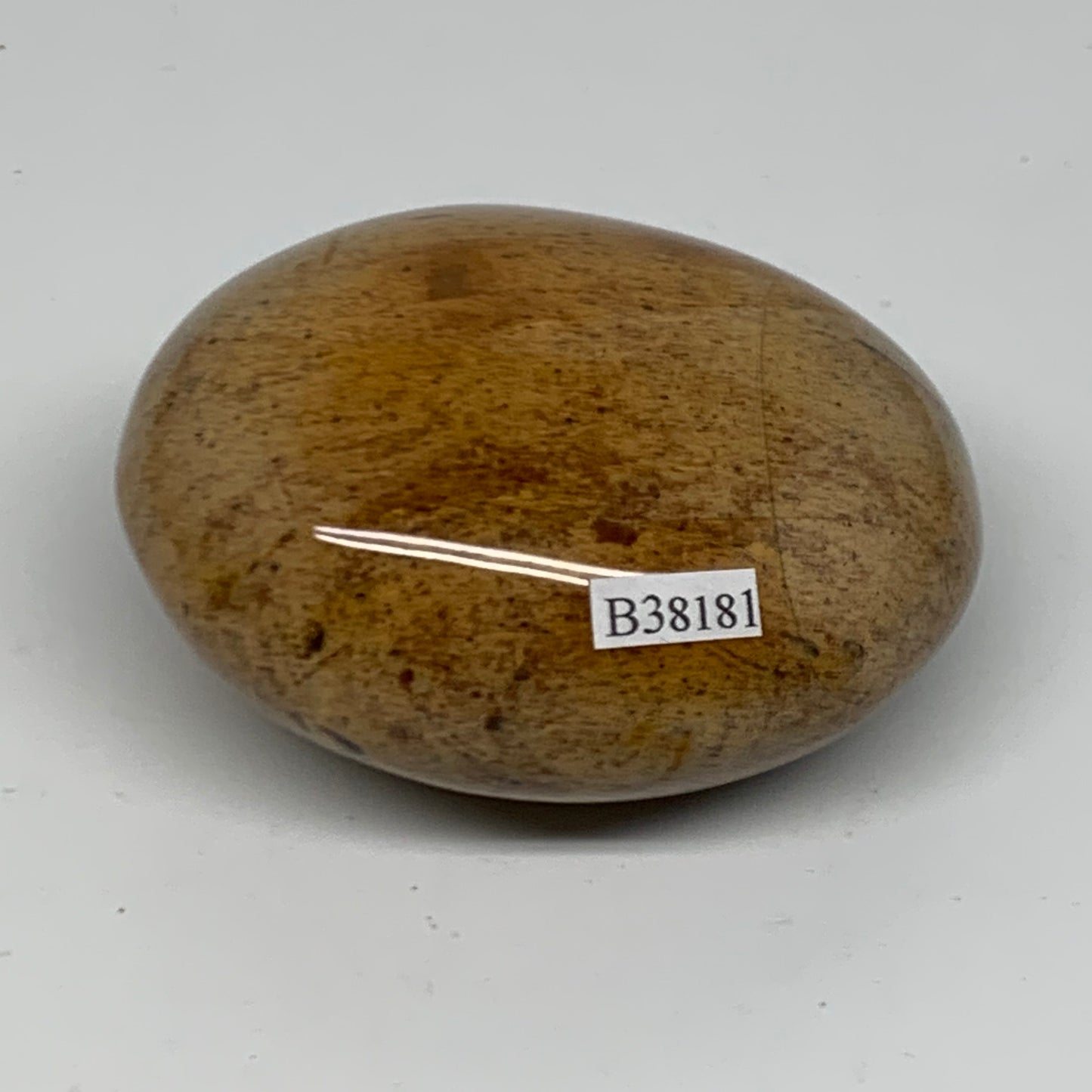 218g, 2.9"x2.3"x1.5" Natural Ocean Jasper Palm-Stone Orbicular Jasper, B38181