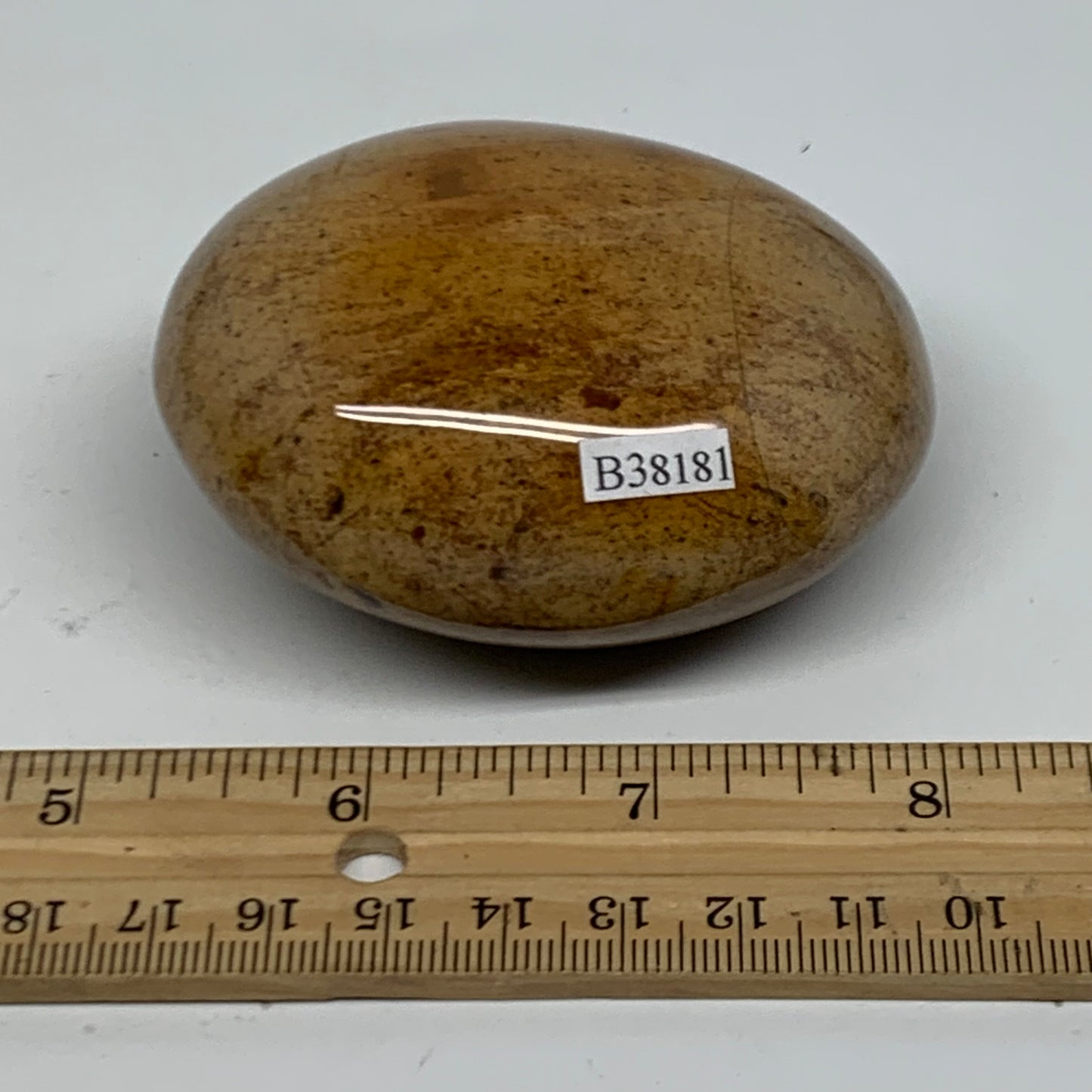 218g, 2.9"x2.3"x1.5" Natural Ocean Jasper Palm-Stone Orbicular Jasper, B38181