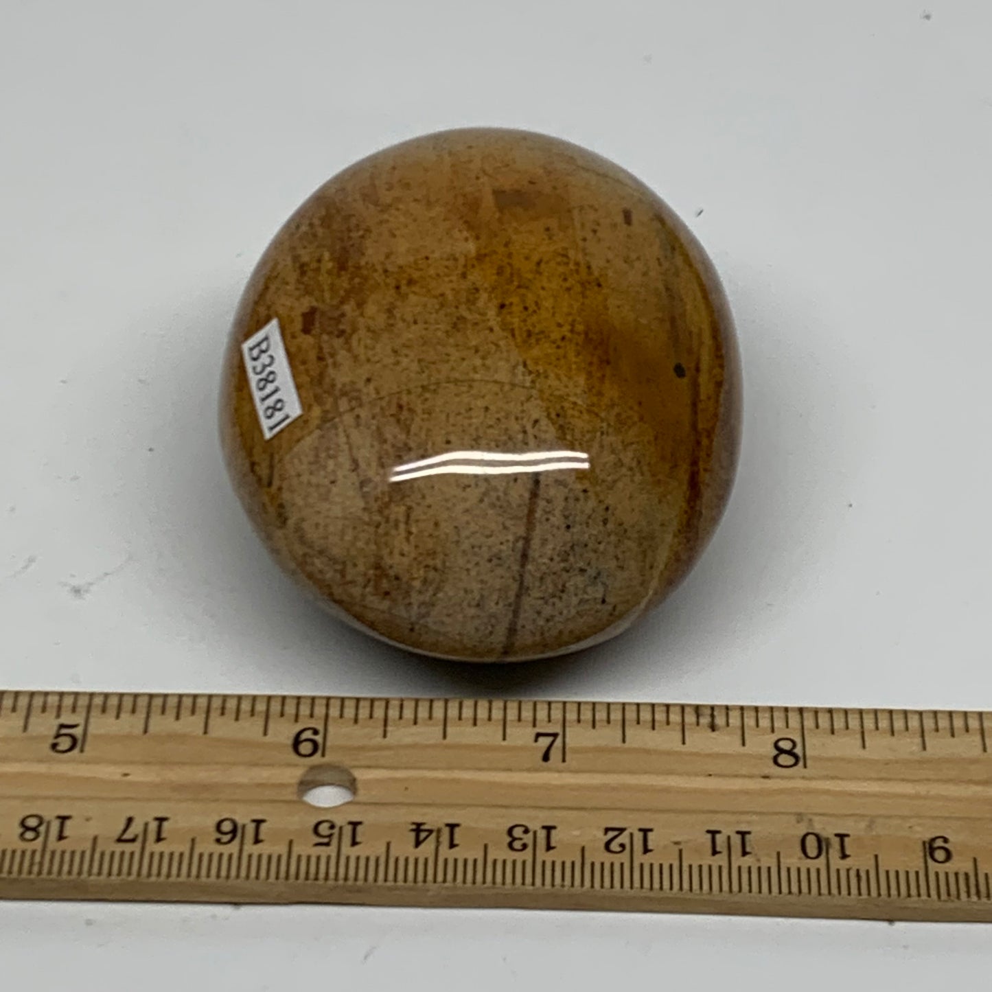 218g, 2.9"x2.3"x1.5" Natural Ocean Jasper Palm-Stone Orbicular Jasper, B38181