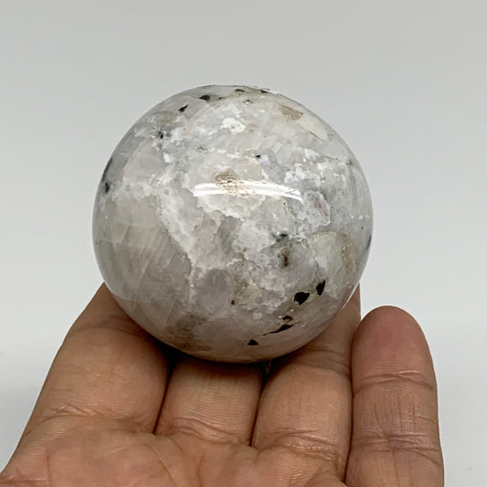 160g, 2"(49mm), Natural Rainbow Moonstone Sphere Ball Gemstone, B34332