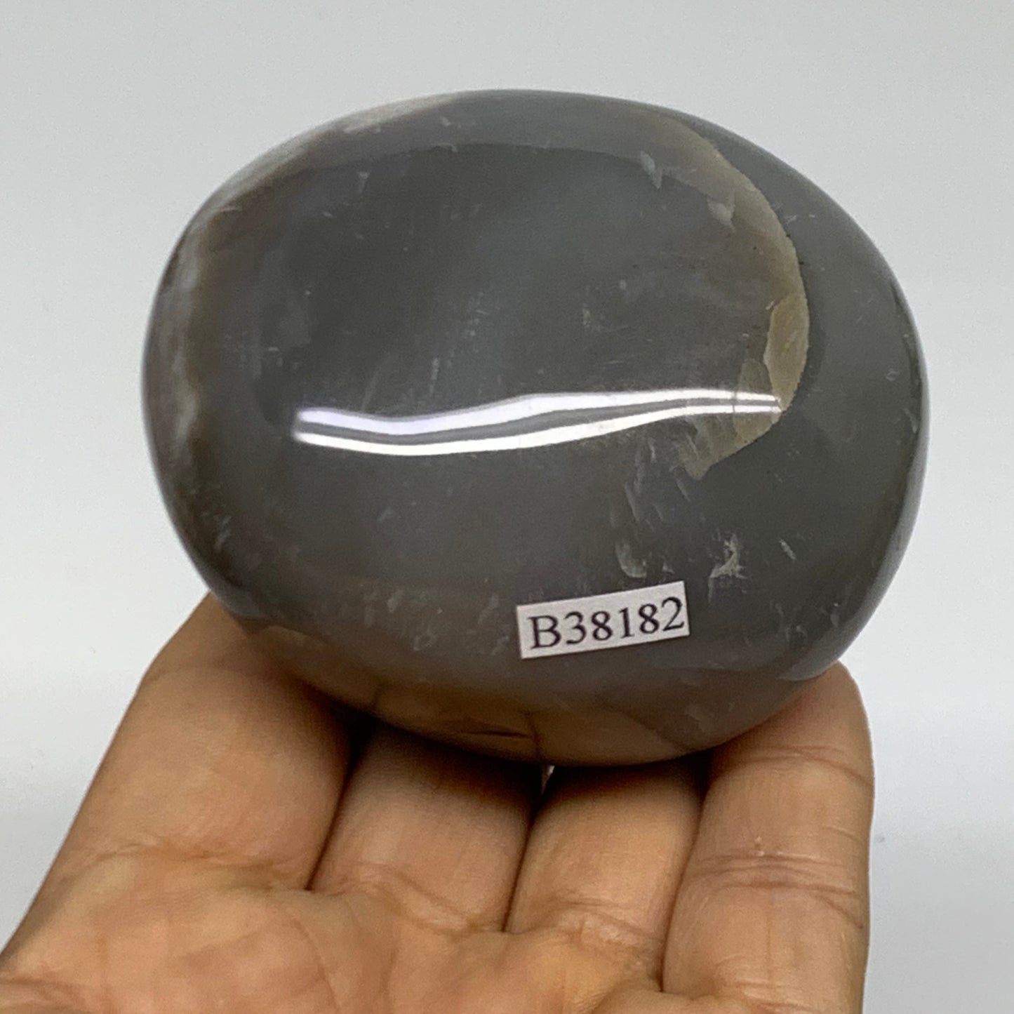 273.7g, 2.7"x2.3"x1.9" Natural Ocean Jasper Palm-Stone Orbicular Jasper, B38182