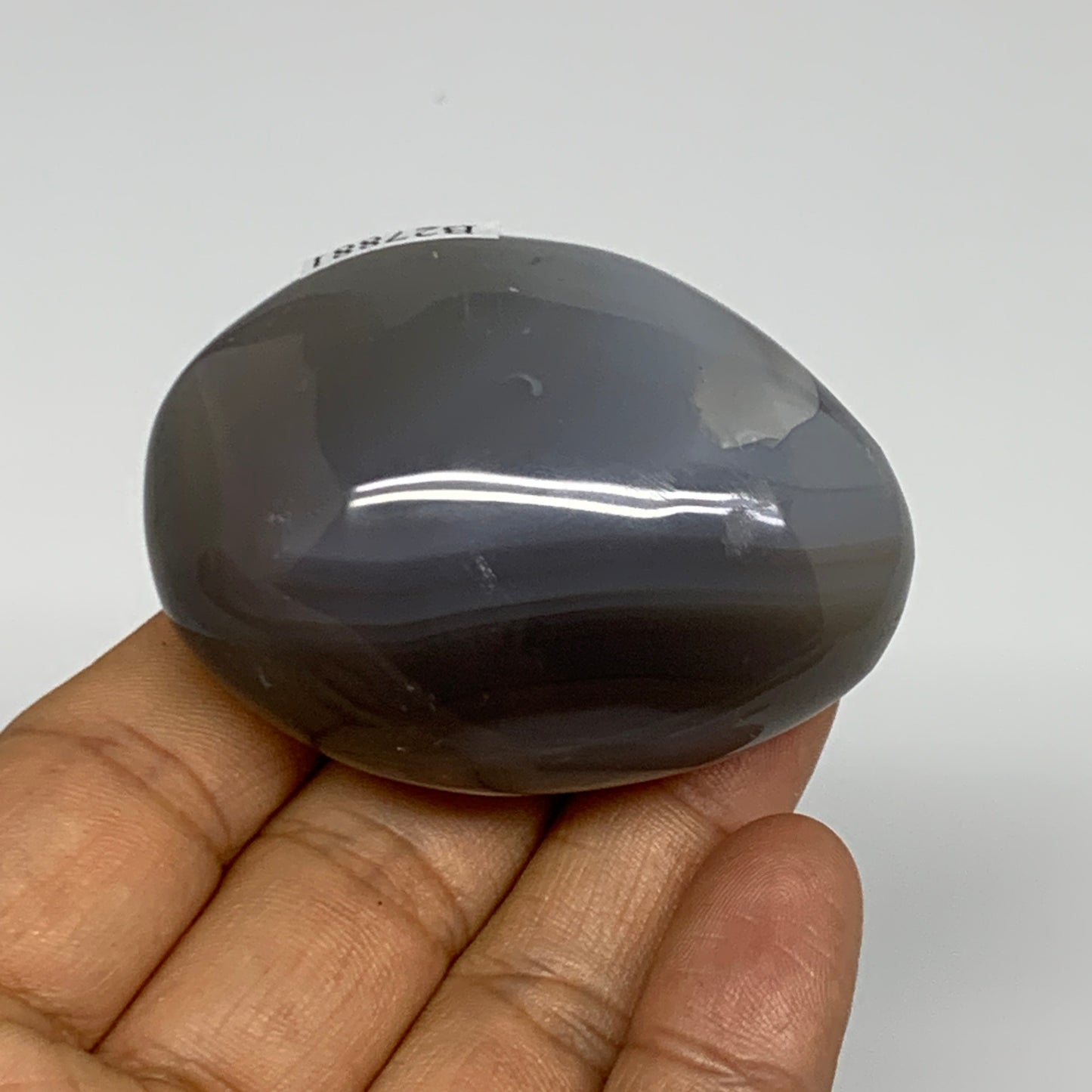 98.5g, 2.2"x1.7"x1.1" Orca Agate Palm-Stone Reiki Energy Crystal Reiki, B27881