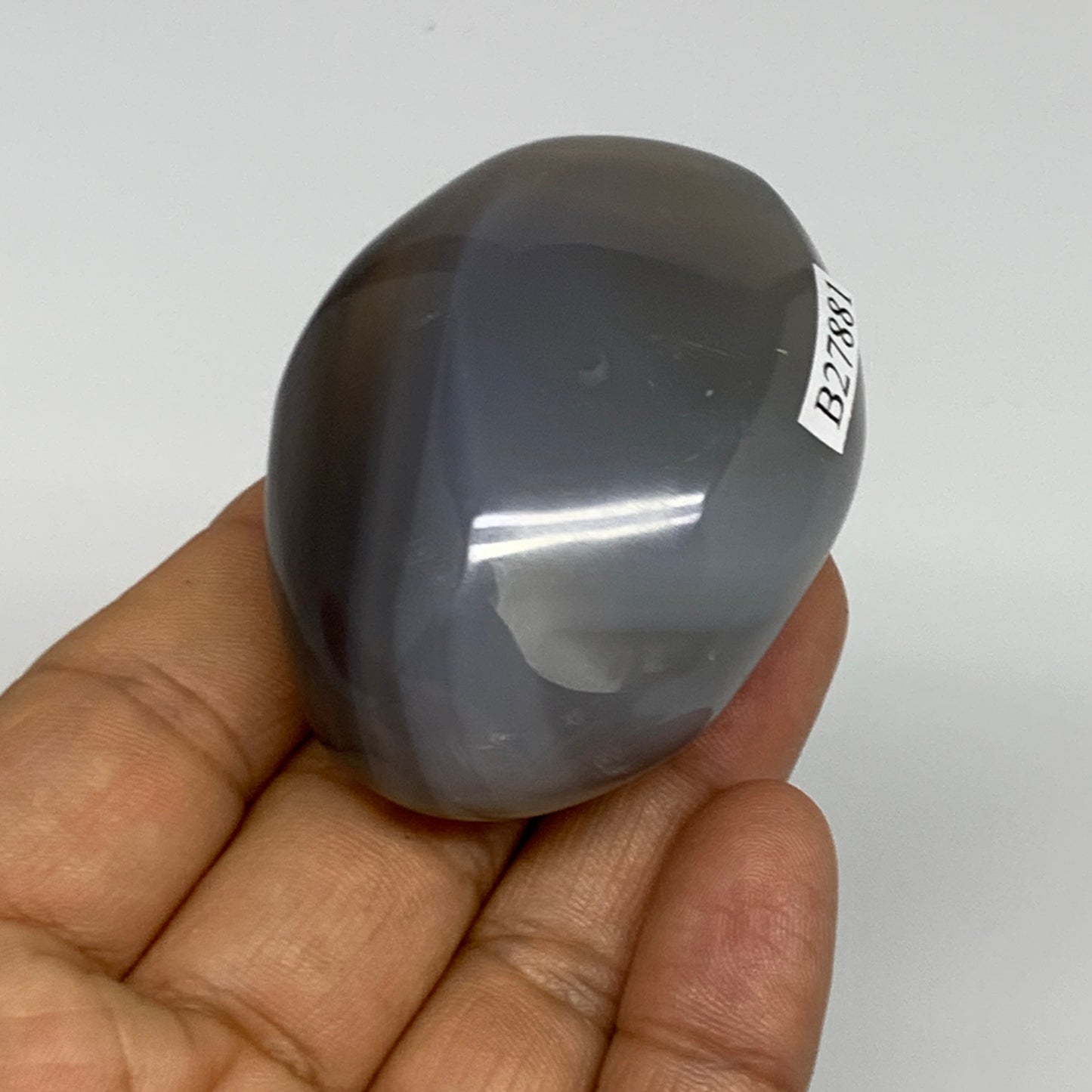 98.5g, 2.2"x1.7"x1.1" Orca Agate Palm-Stone Reiki Energy Crystal Reiki, B27881