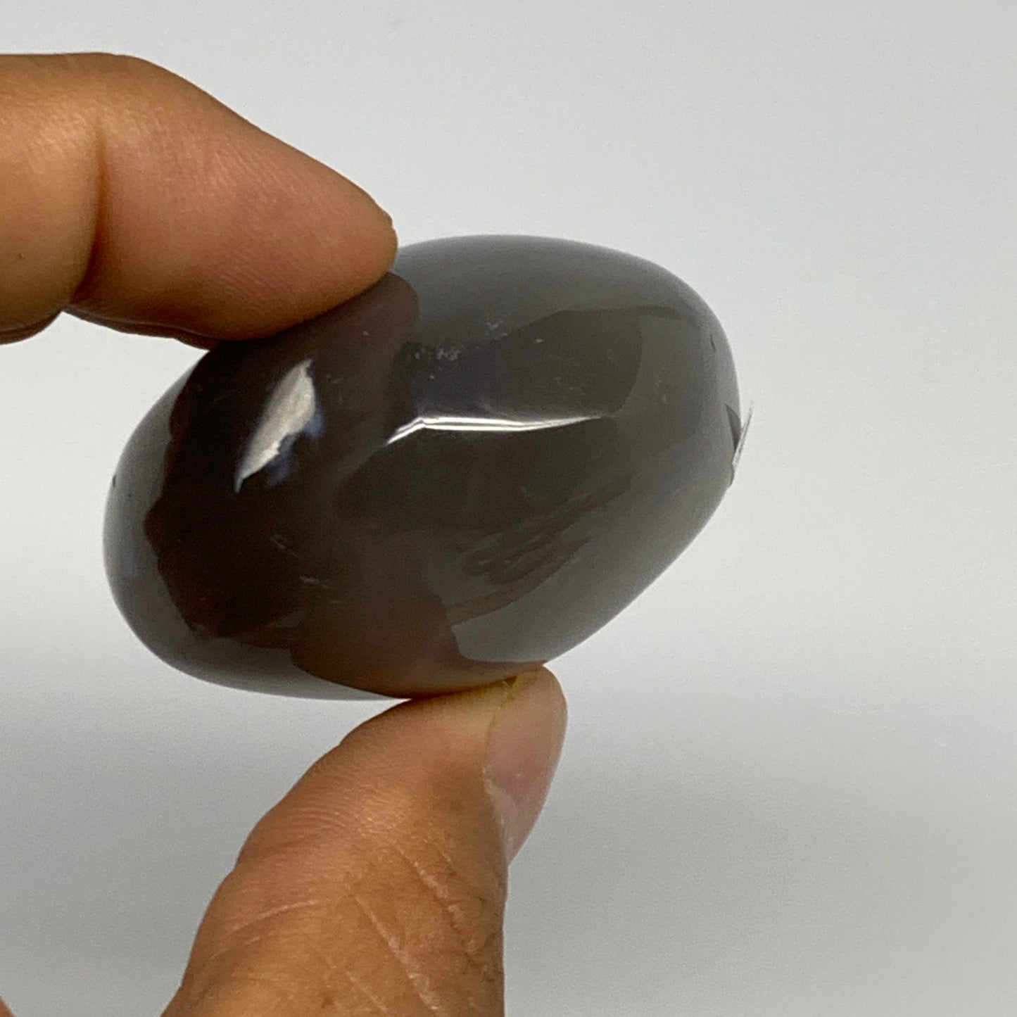 98.5g, 2.2"x1.7"x1.1" Orca Agate Palm-Stone Reiki Energy Crystal Reiki, B27881