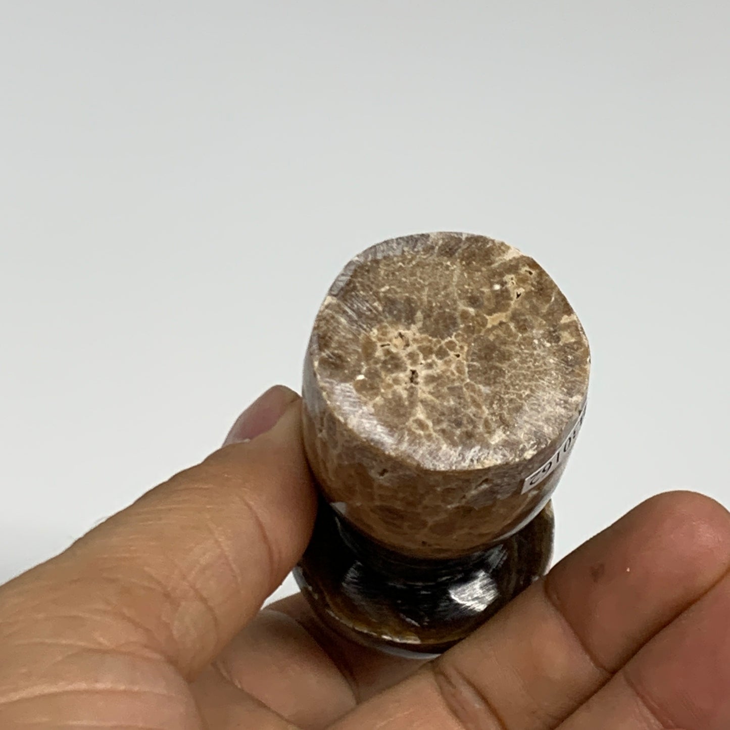 132.7g, 2.6"x1.3" Natural Chocolate Calcite Mushroom Gemstone @Pakistan, B30162
