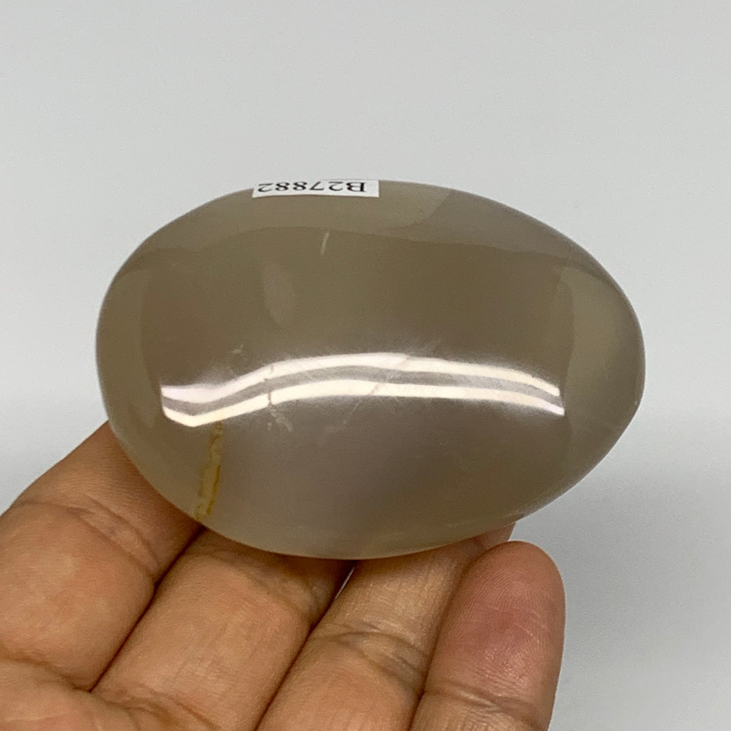 114.7g, 2.5"x1.9"x1" Orca Agate Palm-Stone Reiki Energy Crystal Reiki, B27882