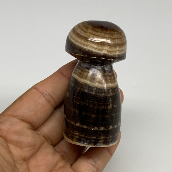 169.4g, 2.9"x1.4" Natural Chocolate Calcite Mushroom Gemstone @Pakistan, B30163