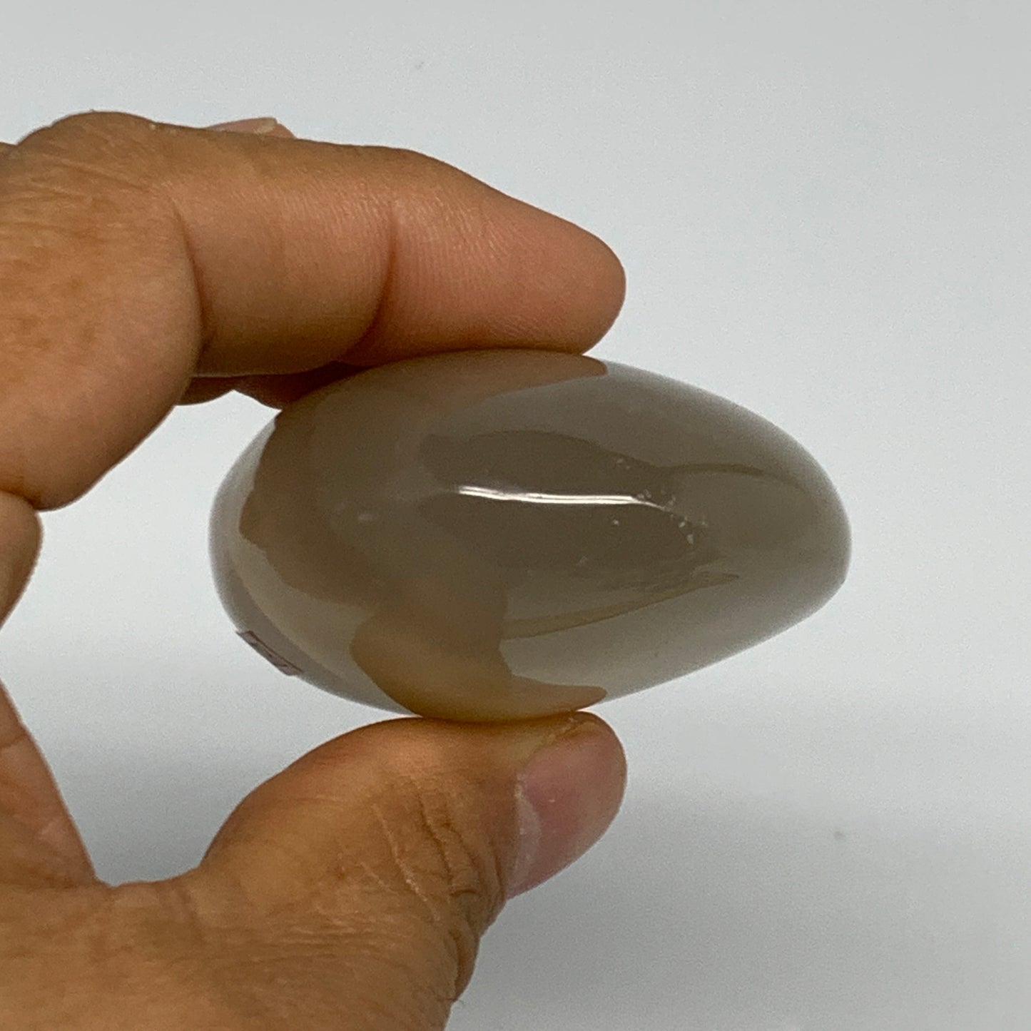 114.7g, 2.5"x1.9"x1" Orca Agate Palm-Stone Reiki Energy Crystal Reiki, B27882