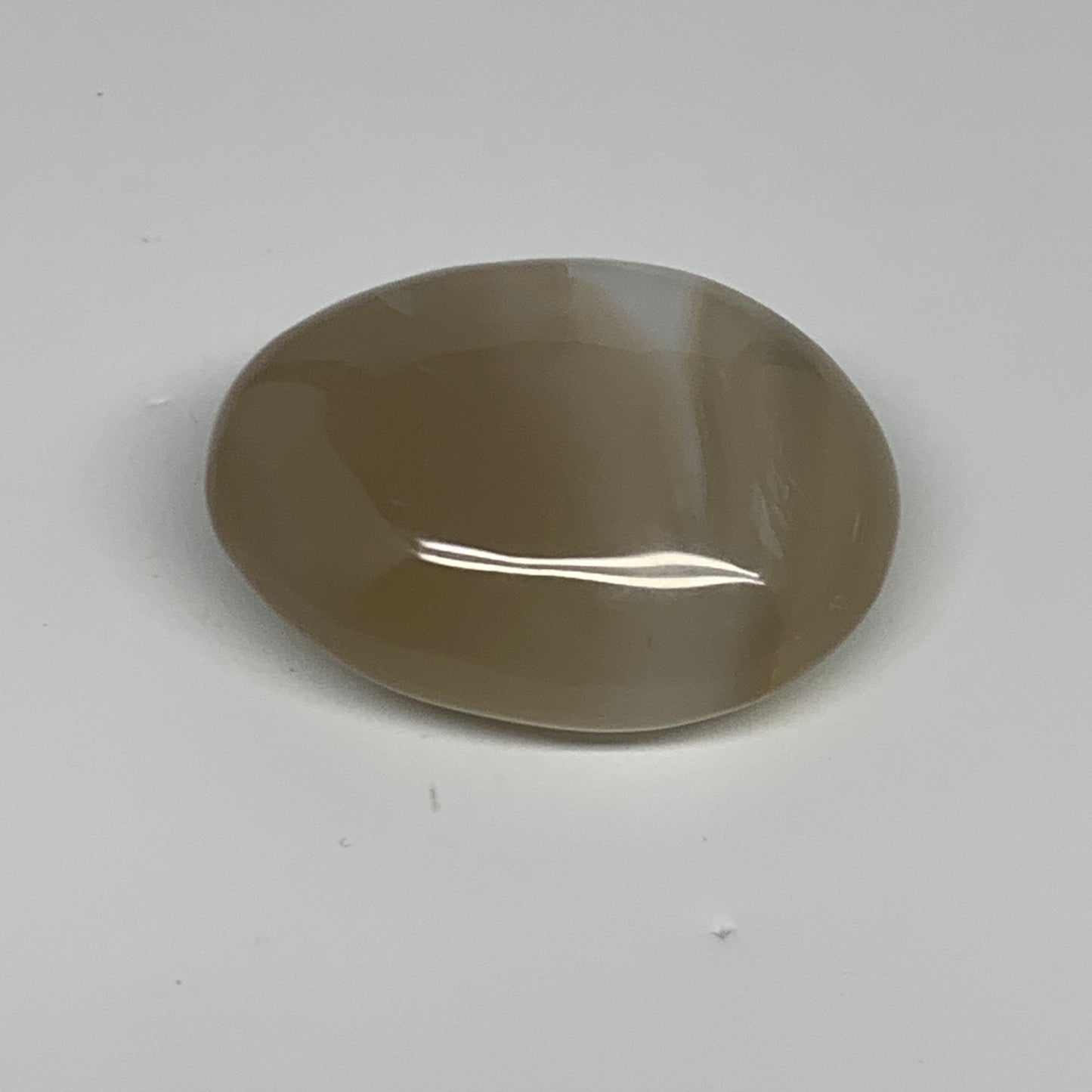 114.7g, 2.5"x1.9"x1" Orca Agate Palm-Stone Reiki Energy Crystal Reiki, B27882