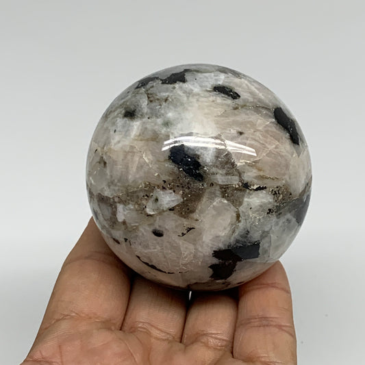 343.6g, 2.5"(63mm), Natural Rainbow Moonstone Sphere Ball Gemstone, B34334