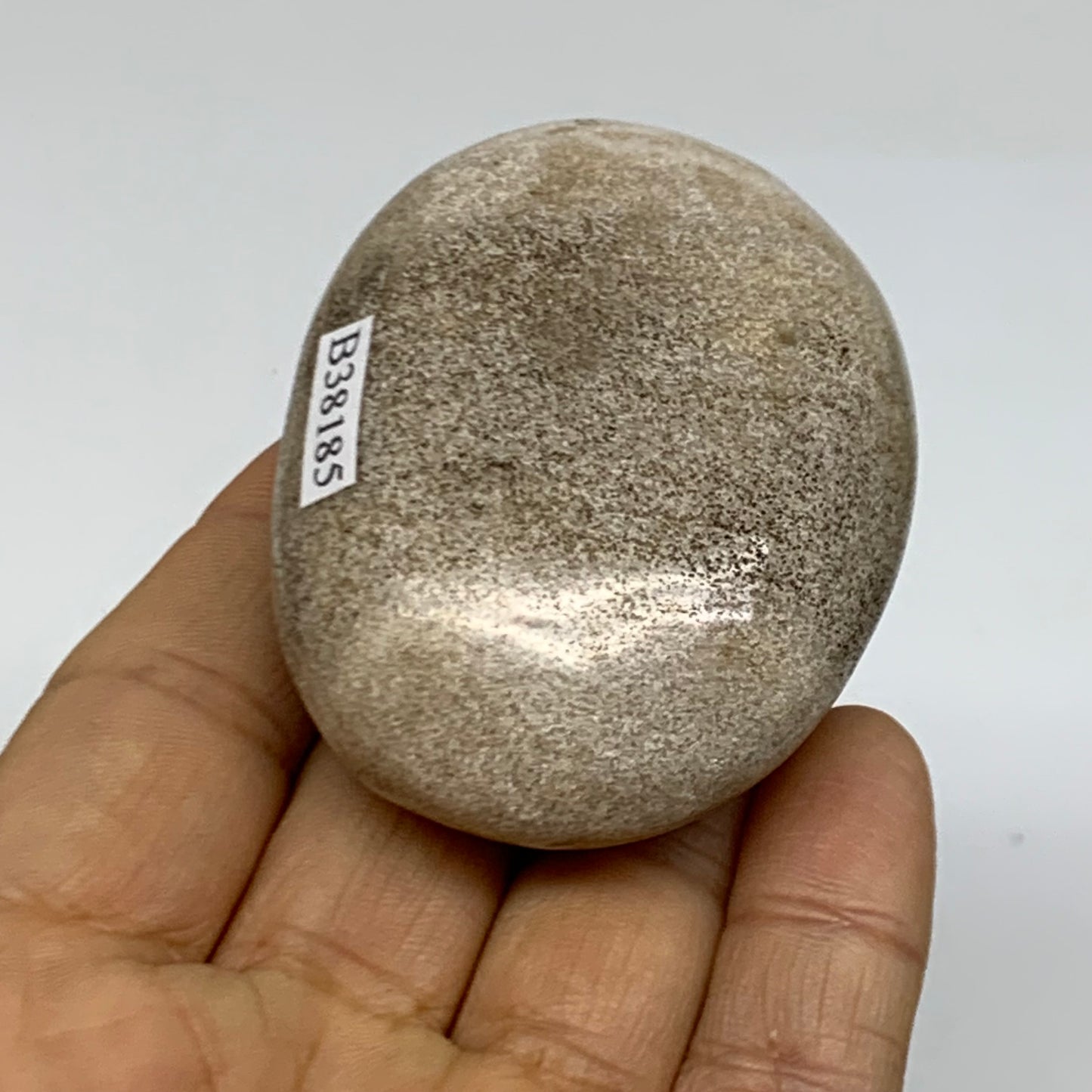 111.7g, 2.4"x1.9"x1.1" Natural Ocean Jasper Palm-Stone Orbicular Jasper, B38185