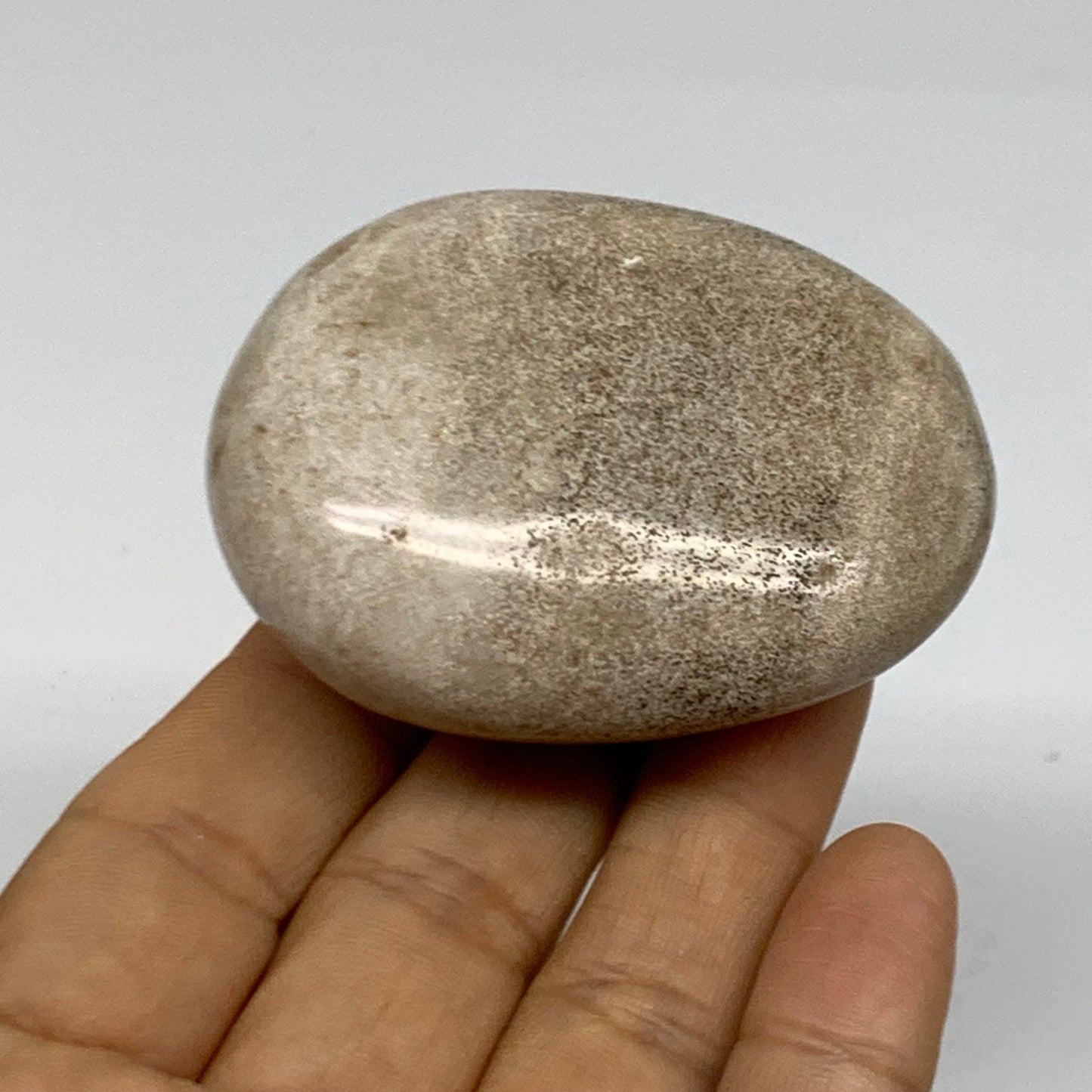 111.7g, 2.4"x1.9"x1.1" Natural Ocean Jasper Palm-Stone Orbicular Jasper, B38185