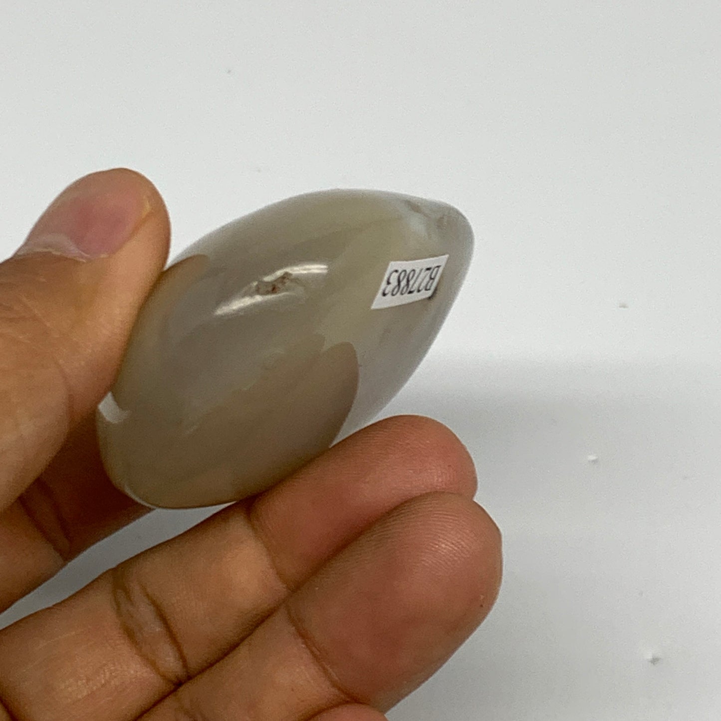 86.2g, 2.1"x1.8"x1" Orca Agate Palm-Stone Reiki Energy Crystal Reiki, B27883