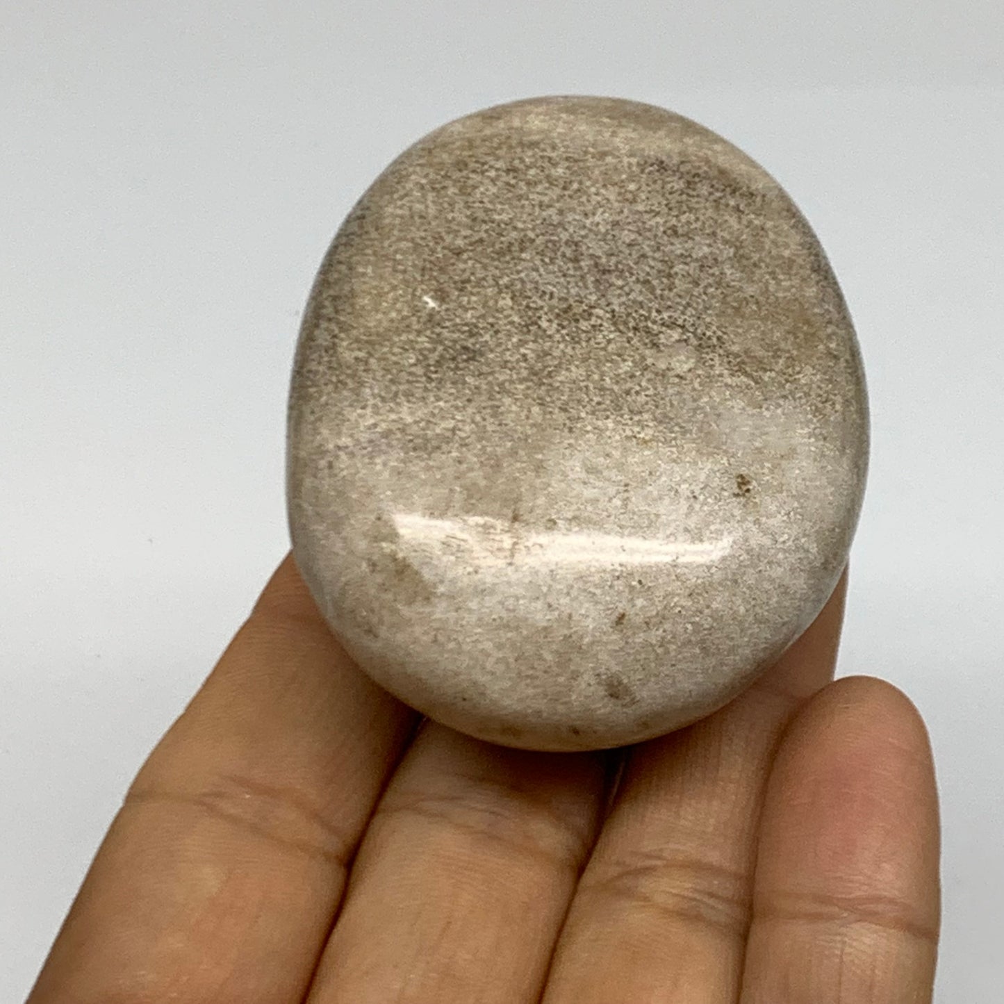 111.7g, 2.4"x1.9"x1.1" Natural Ocean Jasper Palm-Stone Orbicular Jasper, B38185