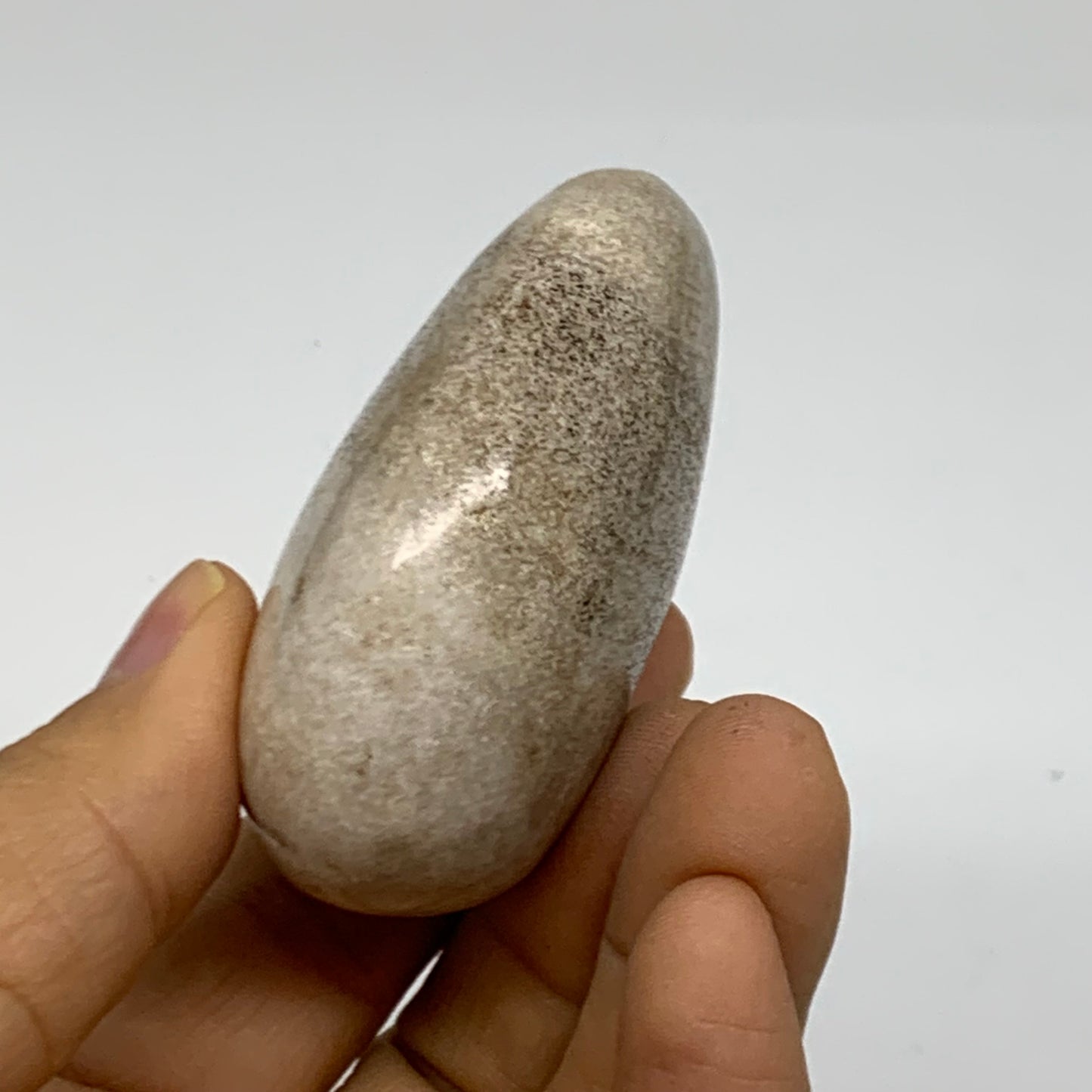 111.7g, 2.4"x1.9"x1.1" Natural Ocean Jasper Palm-Stone Orbicular Jasper, B38185