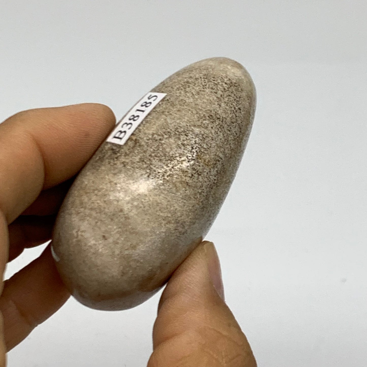 111.7g, 2.4"x1.9"x1.1" Natural Ocean Jasper Palm-Stone Orbicular Jasper, B38185