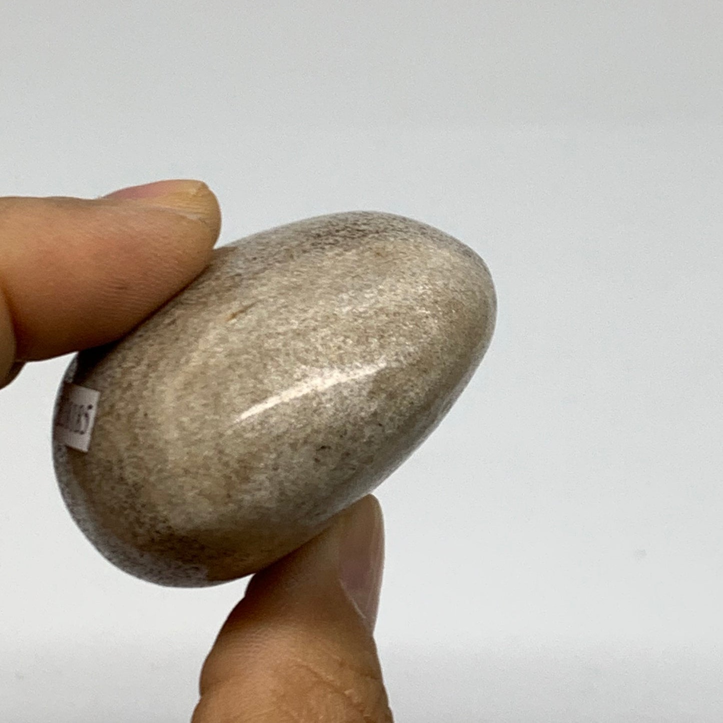 111.7g, 2.4"x1.9"x1.1" Natural Ocean Jasper Palm-Stone Orbicular Jasper, B38185