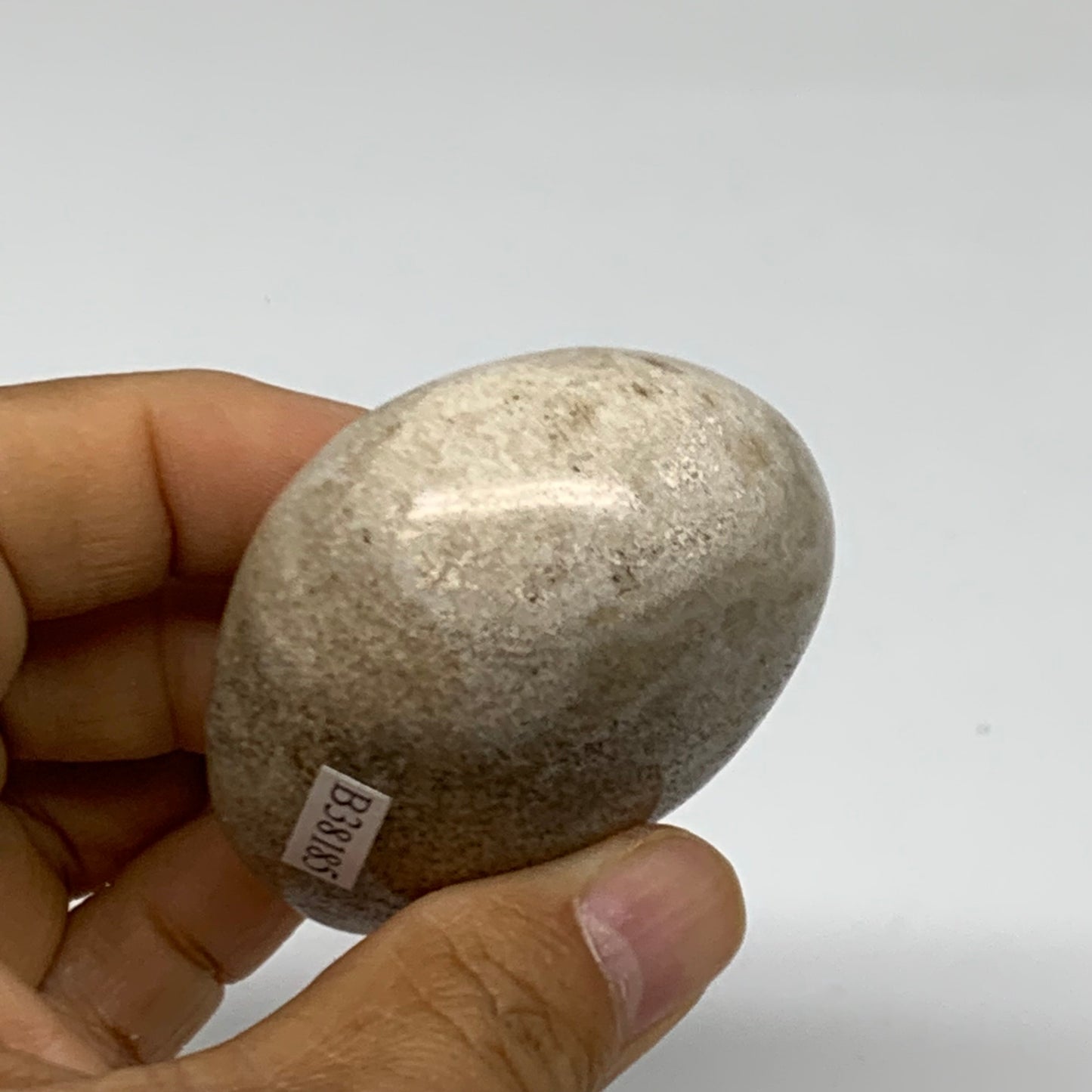 111.7g, 2.4"x1.9"x1.1" Natural Ocean Jasper Palm-Stone Orbicular Jasper, B38185