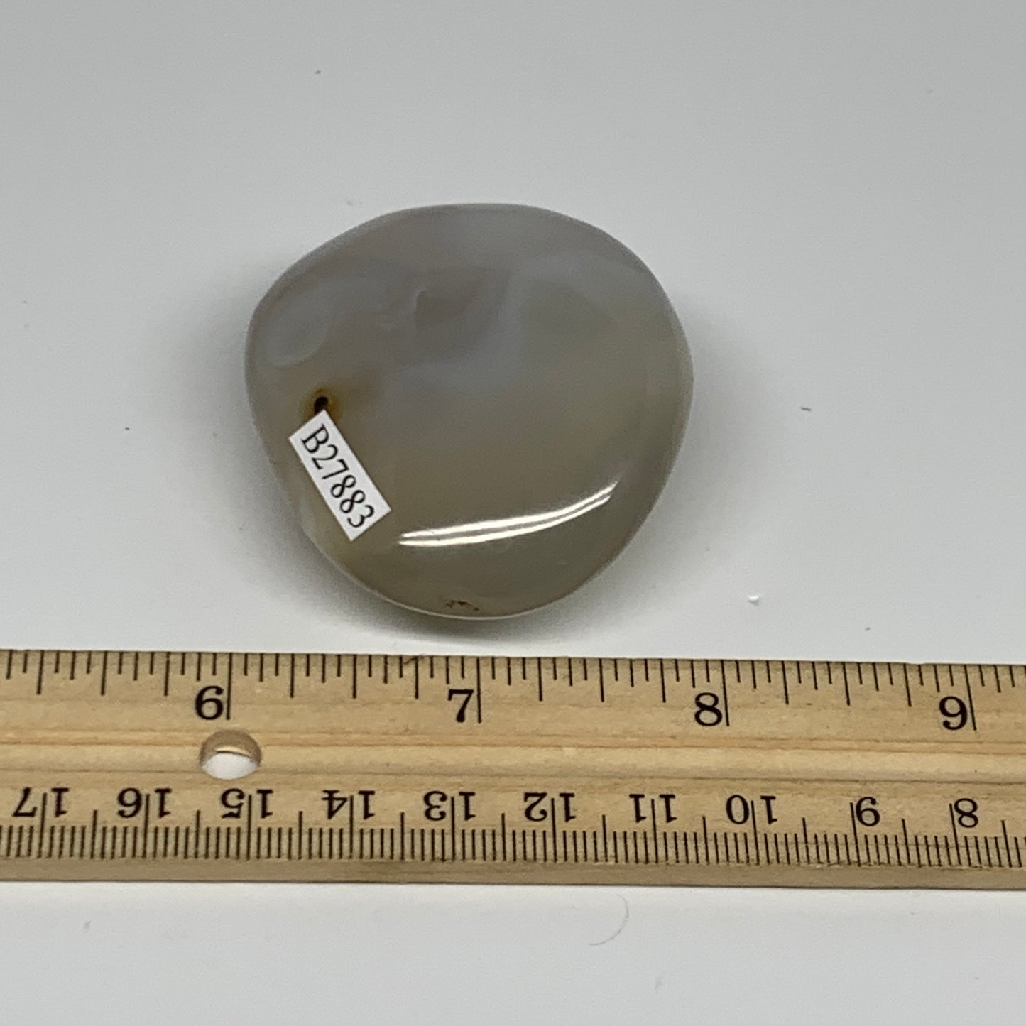 86.2g, 2.1"x1.8"x1" Orca Agate Palm-Stone Reiki Energy Crystal Reiki, B27883