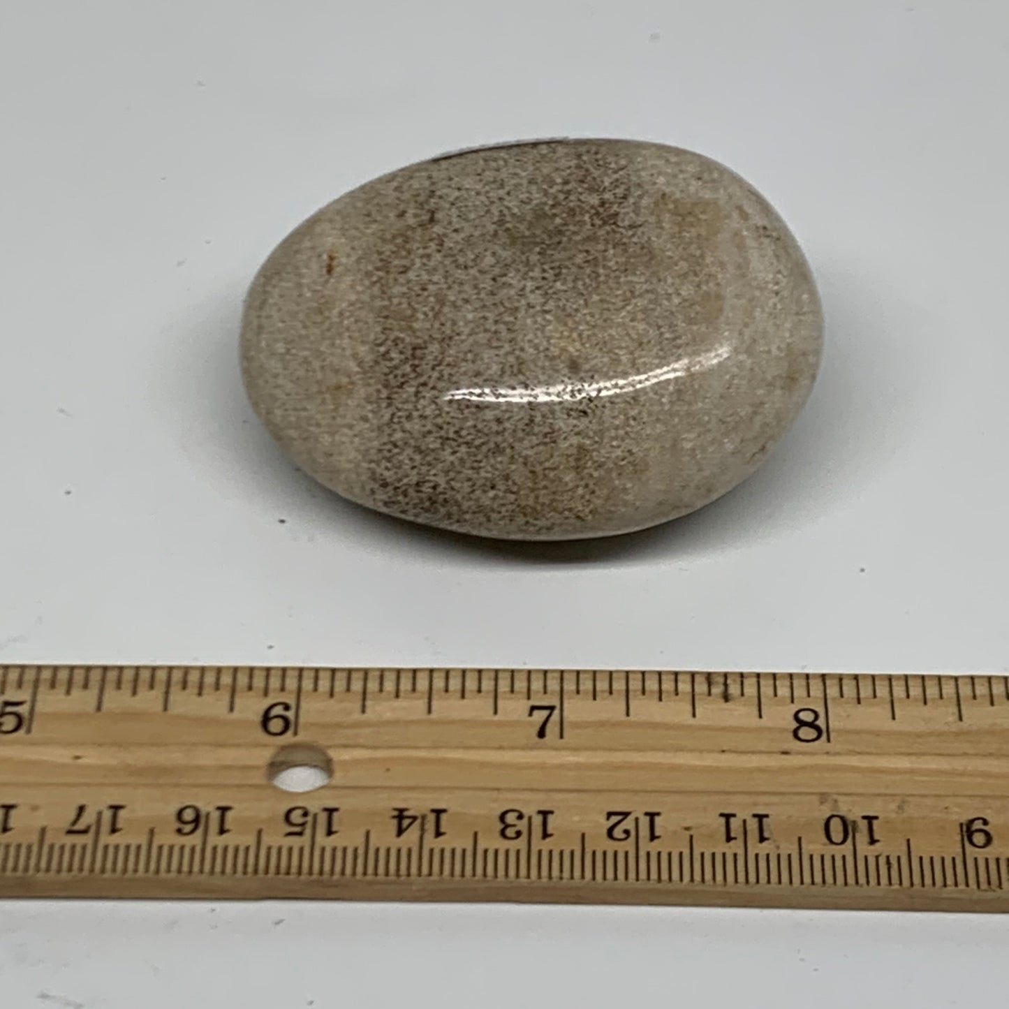 111.7g, 2.4"x1.9"x1.1" Natural Ocean Jasper Palm-Stone Orbicular Jasper, B38185