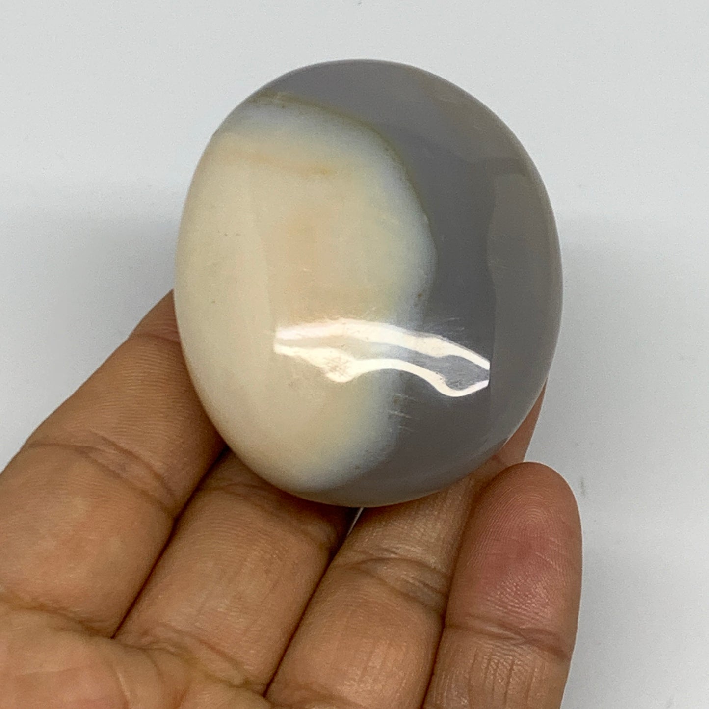 87g, 2.2"x1.8"x1" Orca Agate Palm-Stone Reiki Energy Crystal Reiki, B27884