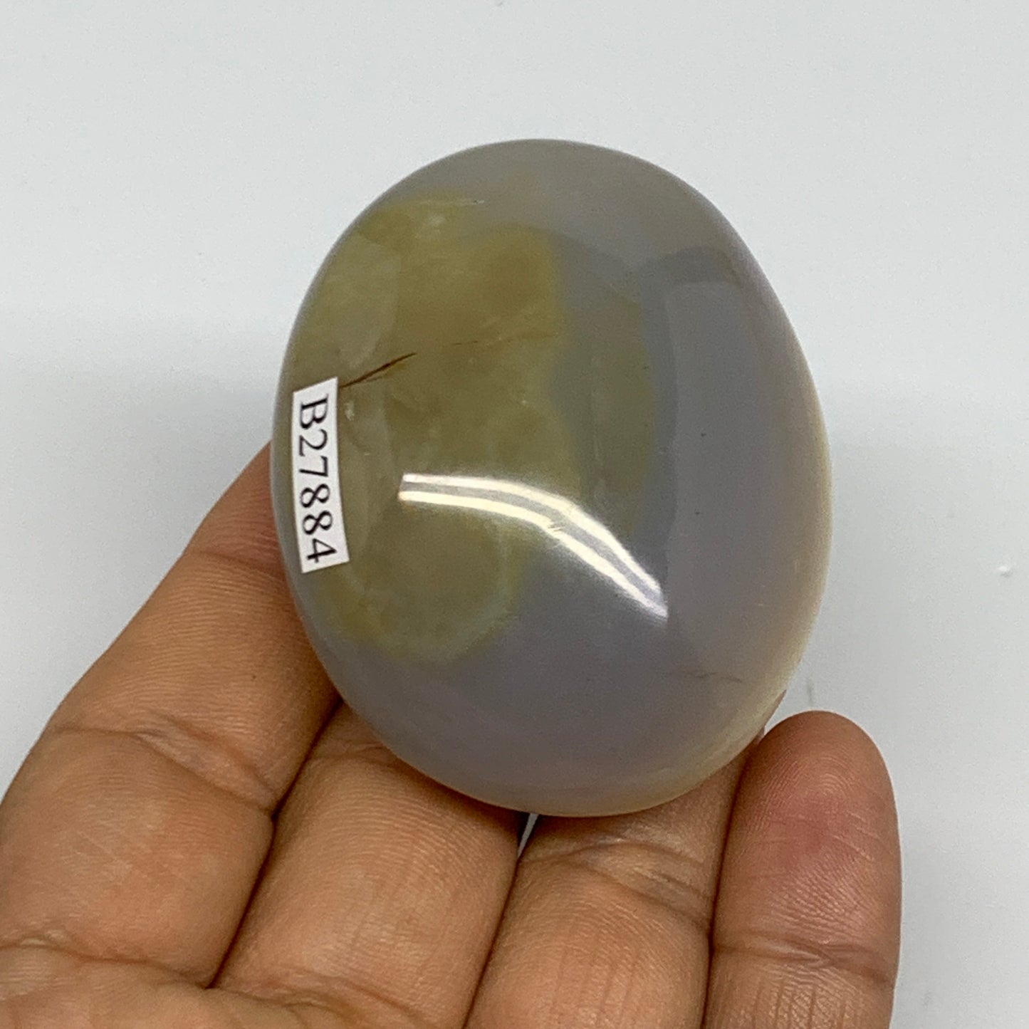 87g, 2.2"x1.8"x1" Orca Agate Palm-Stone Reiki Energy Crystal Reiki, B27884