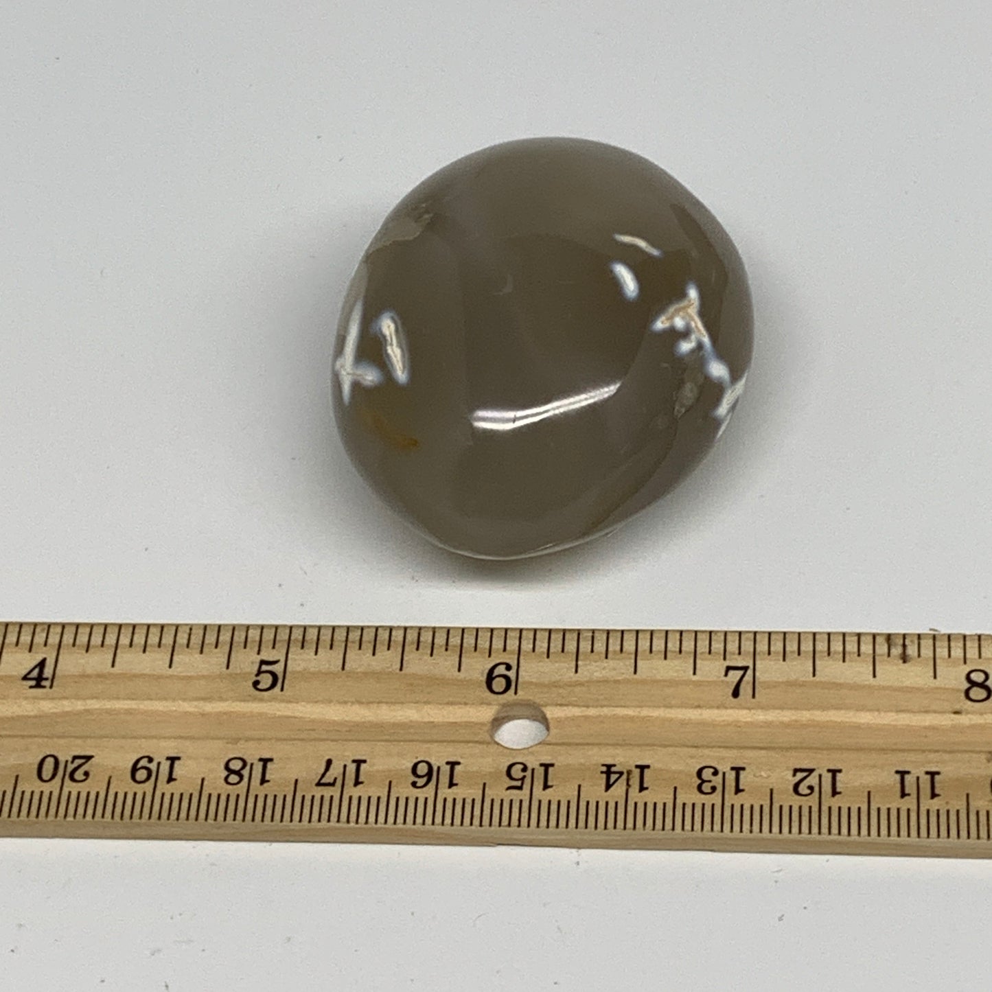 110.2g, 2.2"x1.8"x1.2" Orca Agate Palm-Stone Reiki Energy Crystal Reiki, B28687