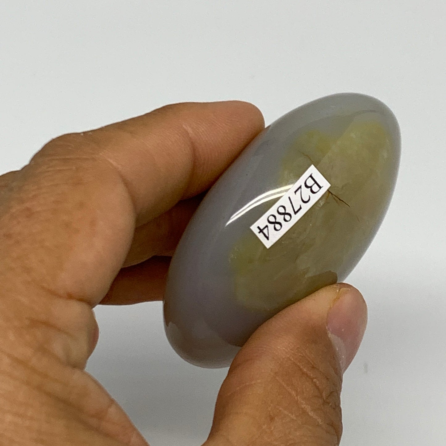 87g, 2.2"x1.8"x1" Orca Agate Palm-Stone Reiki Energy Crystal Reiki, B27884