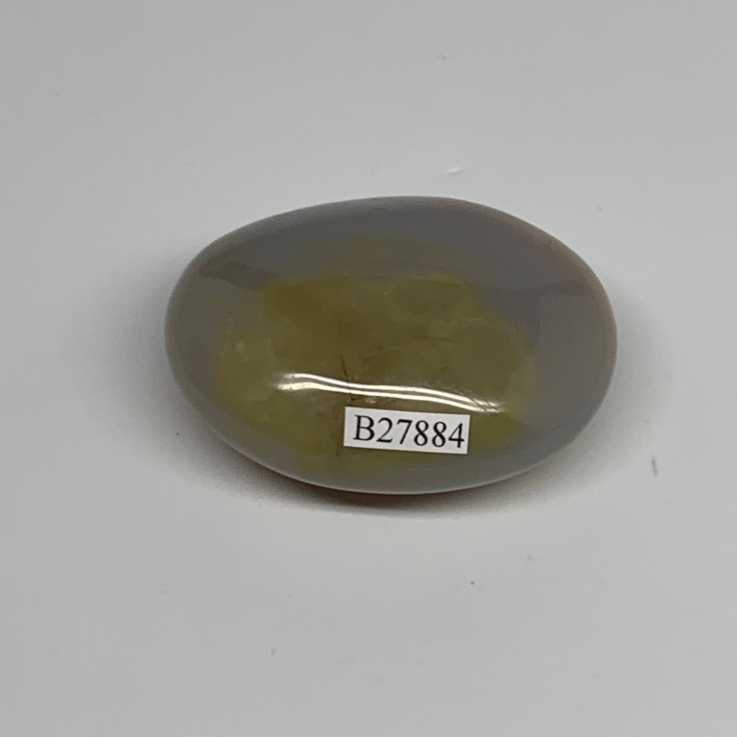 87g, 2.2"x1.8"x1" Orca Agate Palm-Stone Reiki Energy Crystal Reiki, B27884