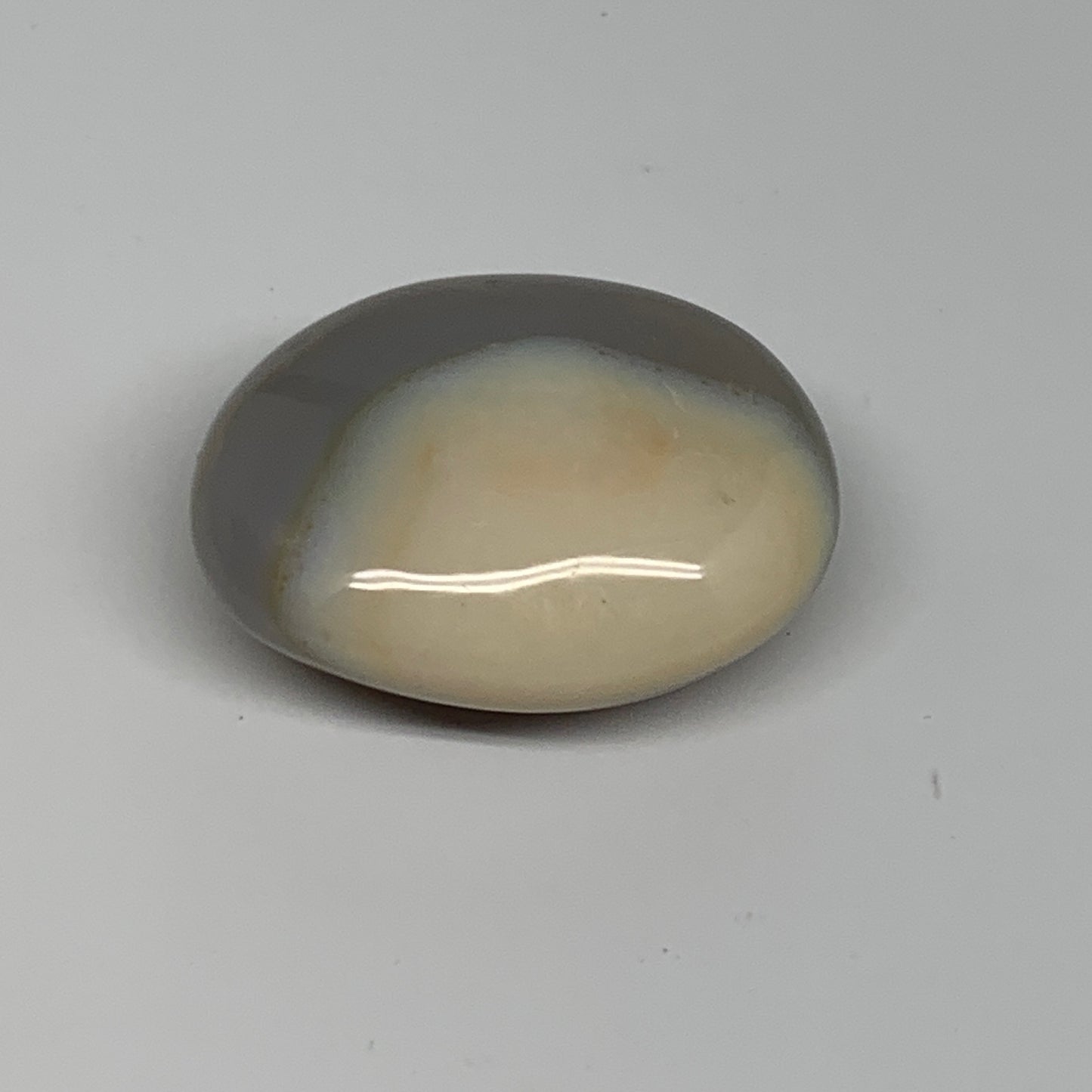 87g, 2.2"x1.8"x1" Orca Agate Palm-Stone Reiki Energy Crystal Reiki, B27884