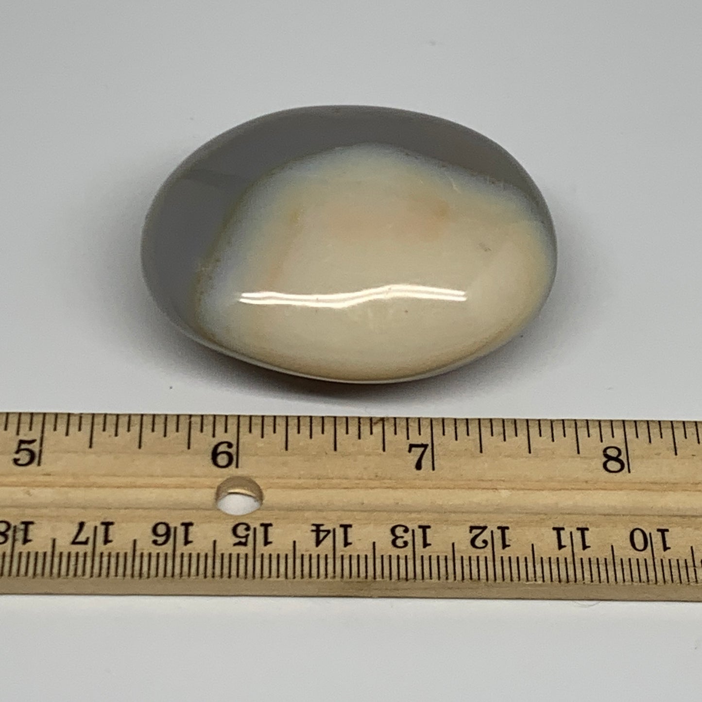 87g, 2.2"x1.8"x1" Orca Agate Palm-Stone Reiki Energy Crystal Reiki, B27884