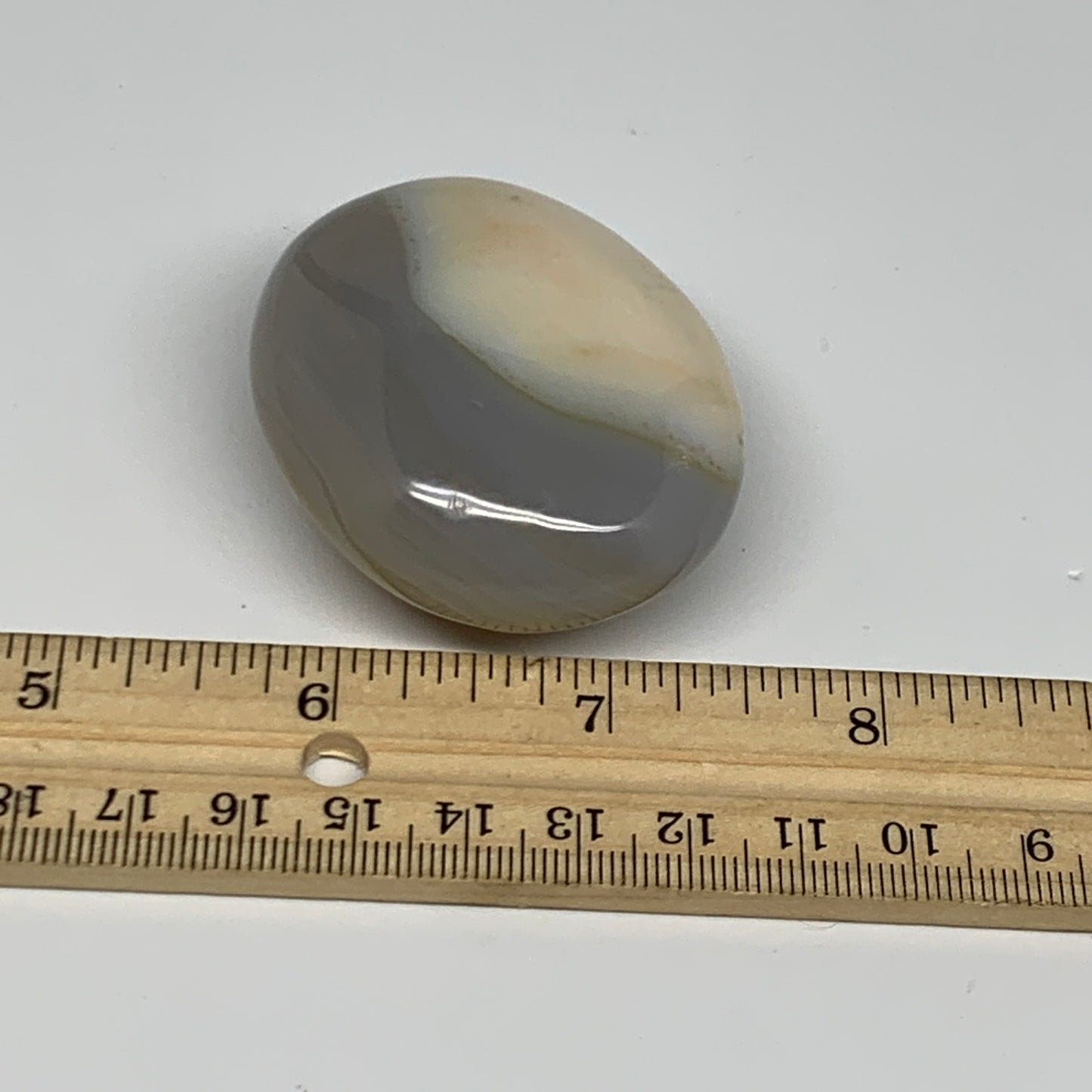 87g, 2.2"x1.8"x1" Orca Agate Palm-Stone Reiki Energy Crystal Reiki, B27884