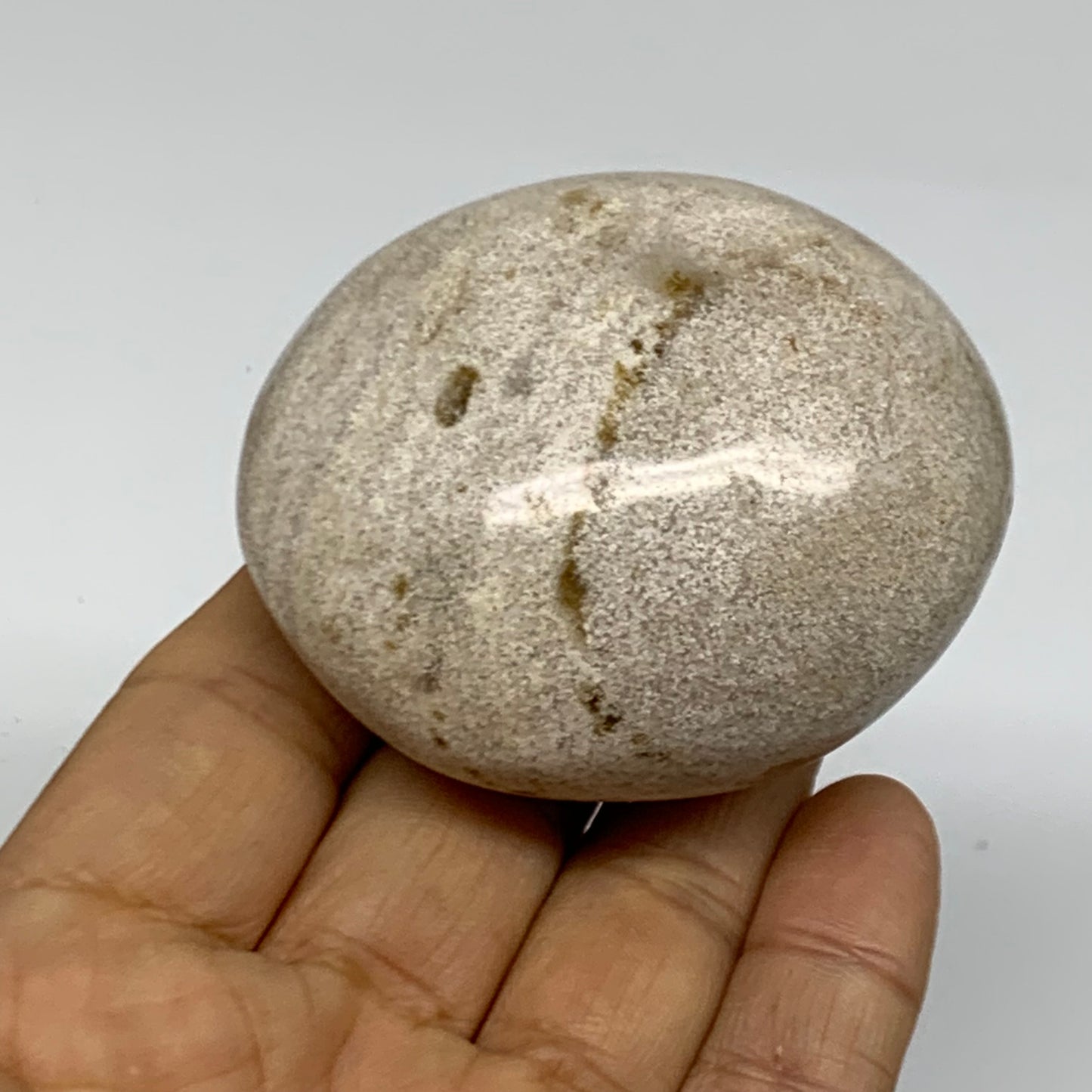 162.8g, 2.4"x2.1"x1.5" Natural Ocean Jasper Palm-Stone Orbicular Jasper, B38187