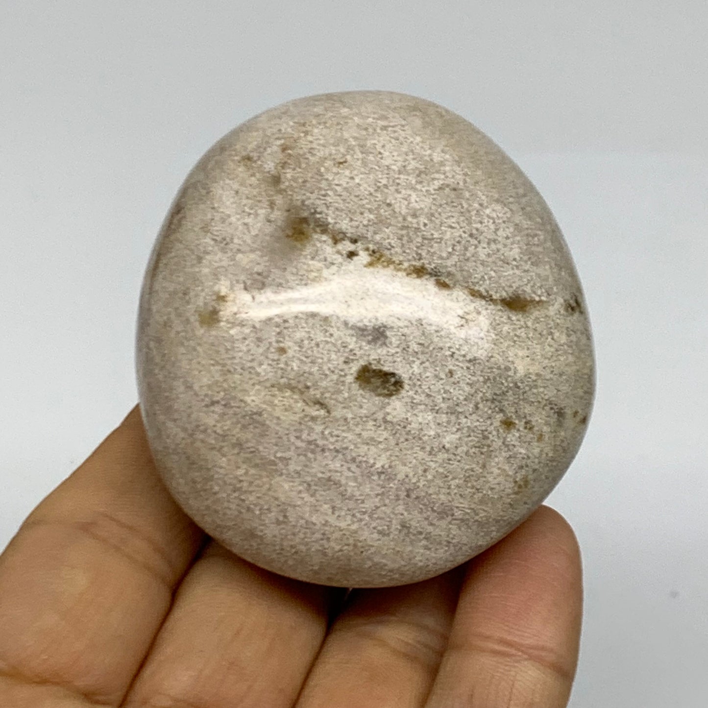 162.8g, 2.4"x2.1"x1.5" Natural Ocean Jasper Palm-Stone Orbicular Jasper, B38187