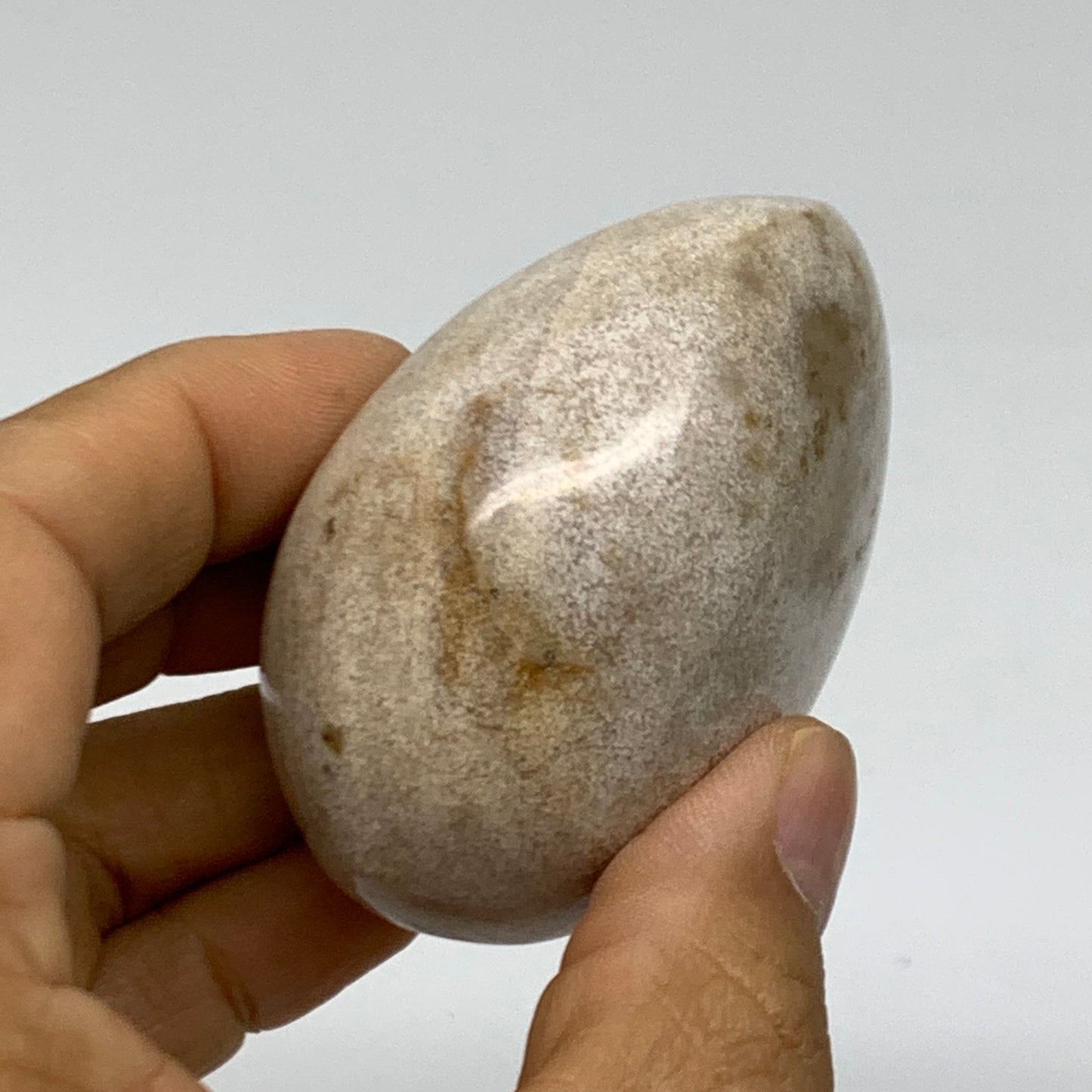 162.8g, 2.4"x2.1"x1.5" Natural Ocean Jasper Palm-Stone Orbicular Jasper, B38187