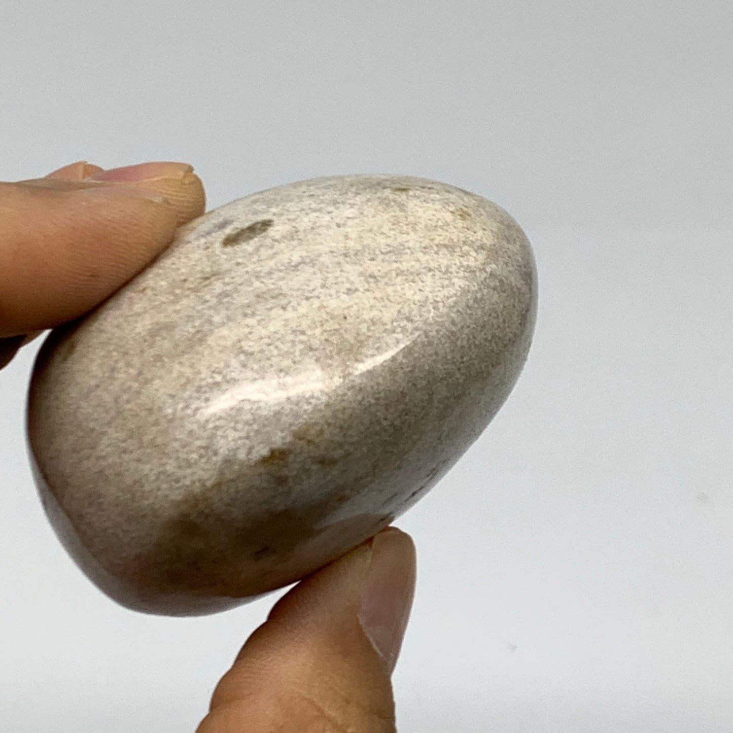 162.8g, 2.4"x2.1"x1.5" Natural Ocean Jasper Palm-Stone Orbicular Jasper, B38187