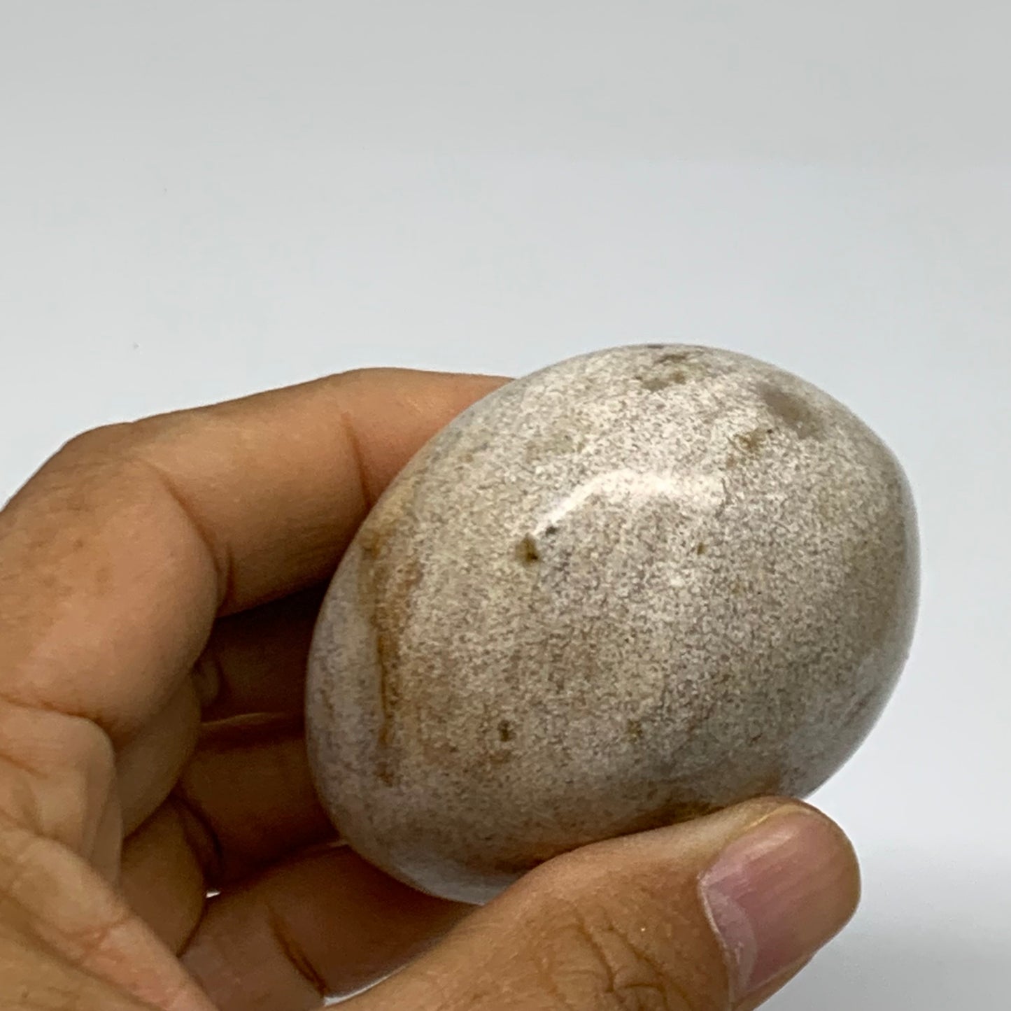 162.8g, 2.4"x2.1"x1.5" Natural Ocean Jasper Palm-Stone Orbicular Jasper, B38187