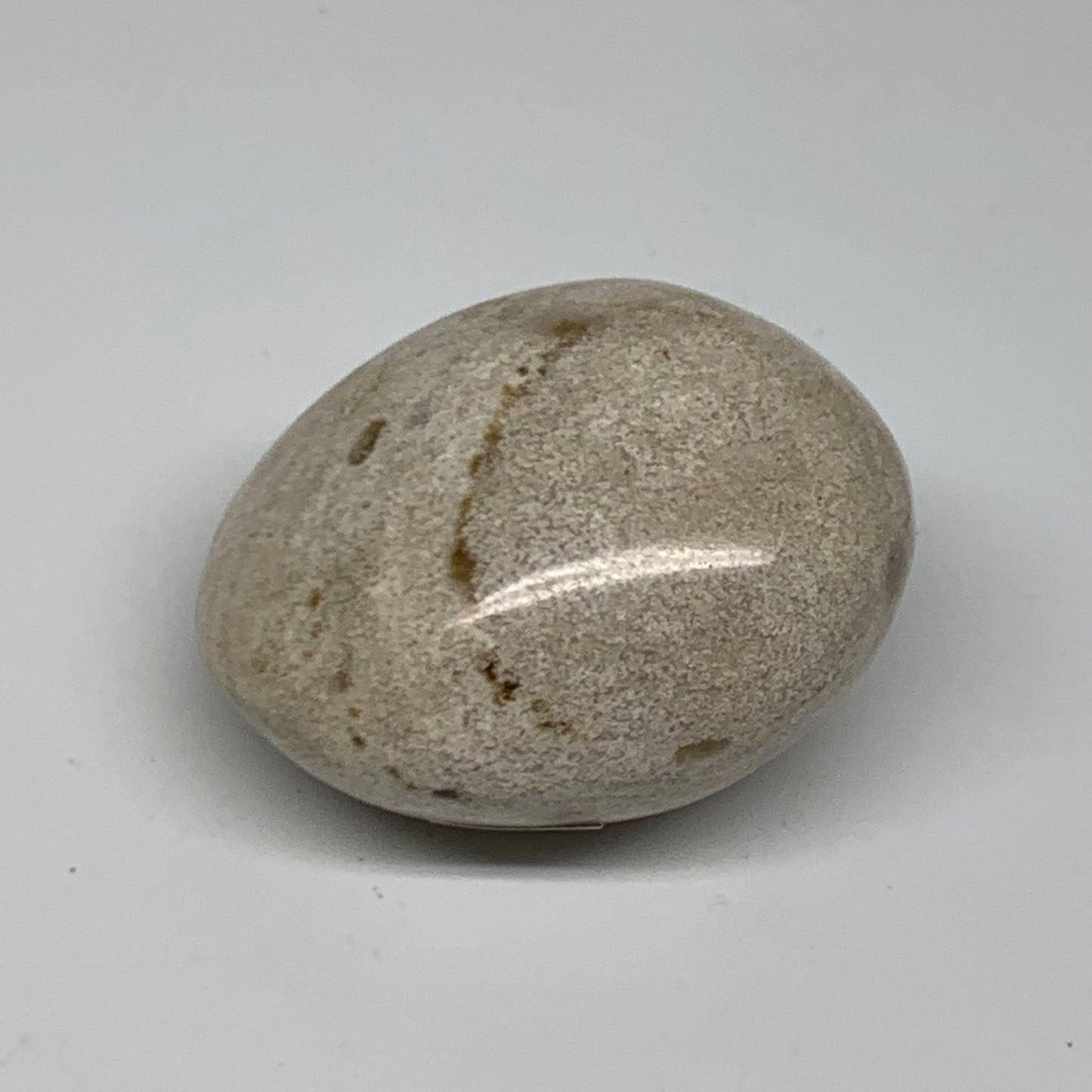 162.8g, 2.4"x2.1"x1.5" Natural Ocean Jasper Palm-Stone Orbicular Jasper, B38187