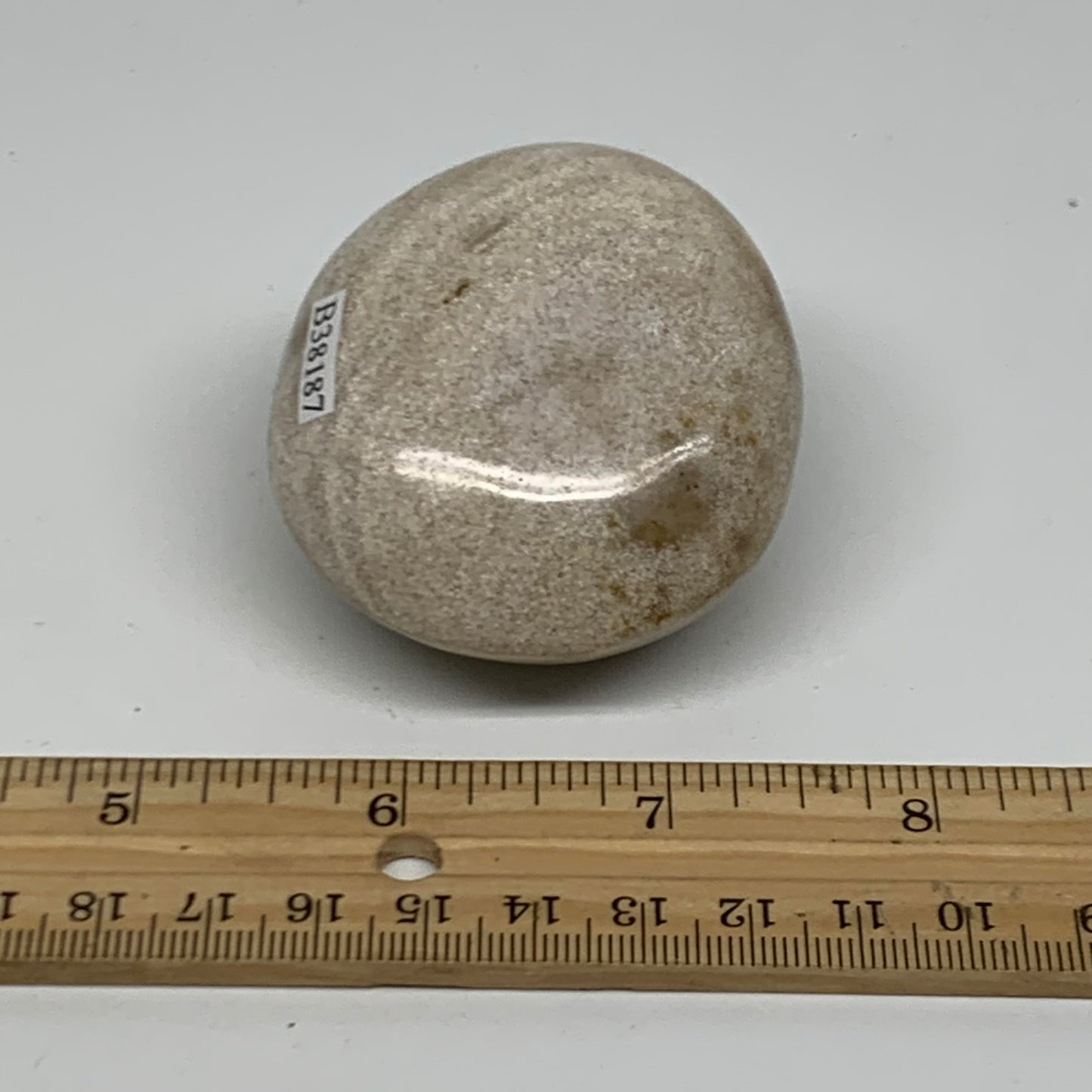 162.8g, 2.4"x2.1"x1.5" Natural Ocean Jasper Palm-Stone Orbicular Jasper, B38187