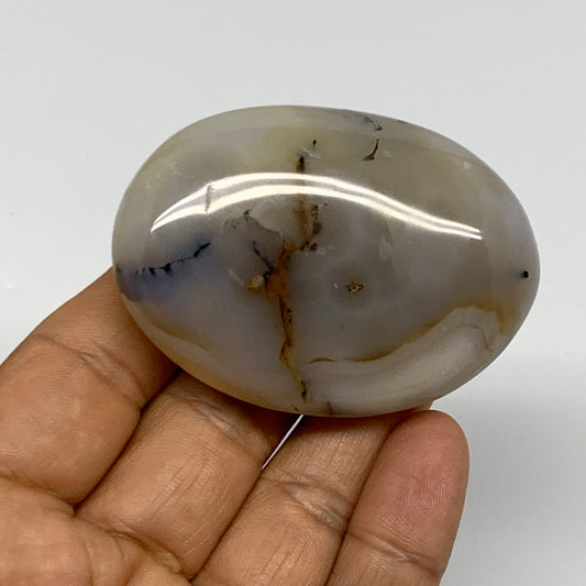 85.5g, 2.3"x1.7"x0.9" Orca Agate Palm-Stone Reiki Energy Crystal Reiki, B27886