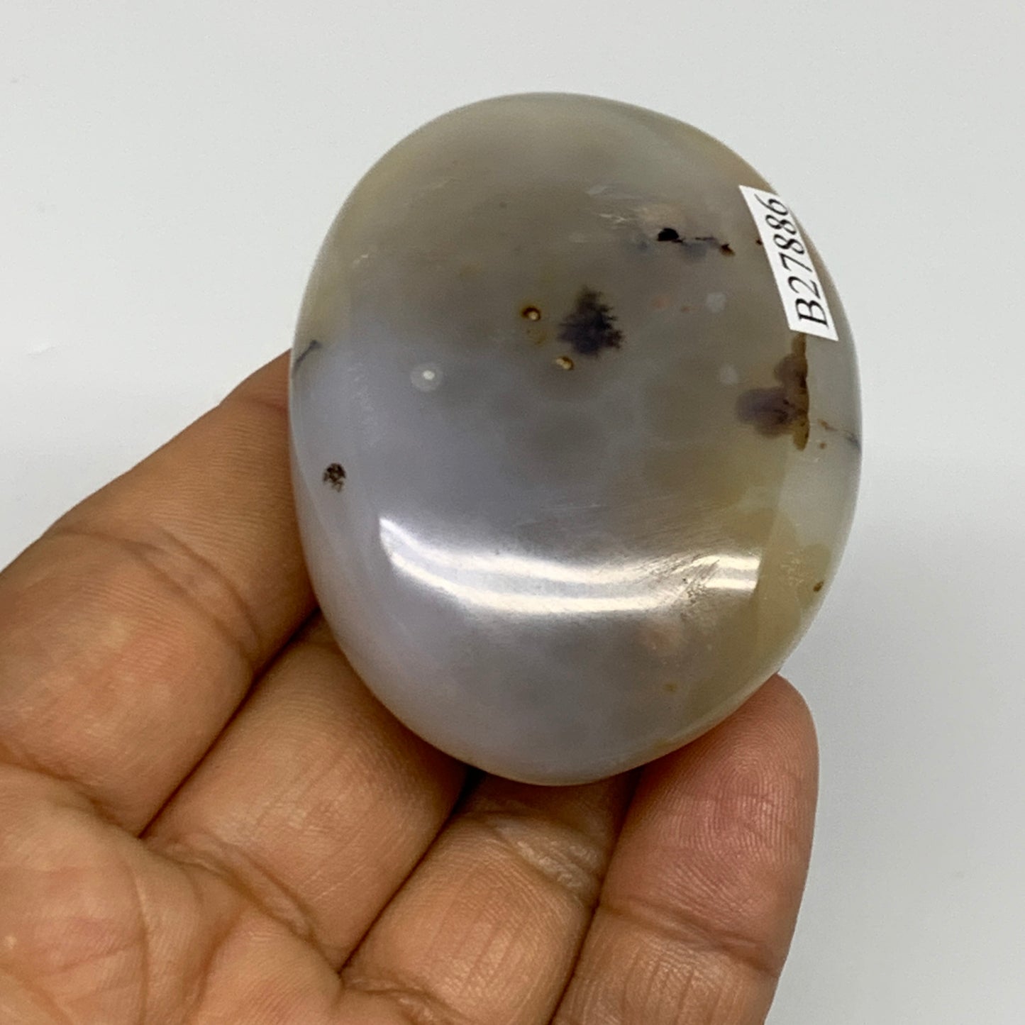 85.5g, 2.3"x1.7"x0.9" Orca Agate Palm-Stone Reiki Energy Crystal Reiki, B27886