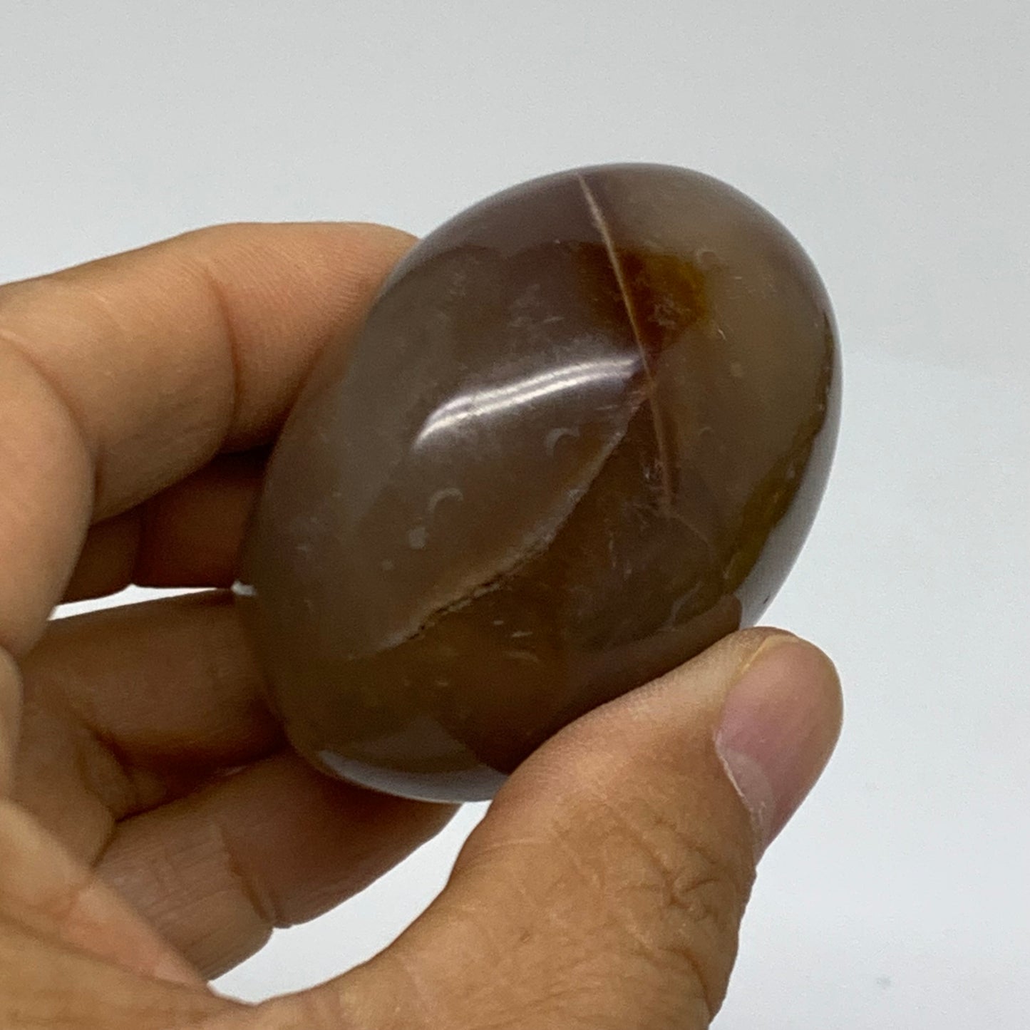 115.7g, 2.1"x1.8"x1.4" Natural Ocean Jasper Palm-Stone Orbicular Jasper, B38188