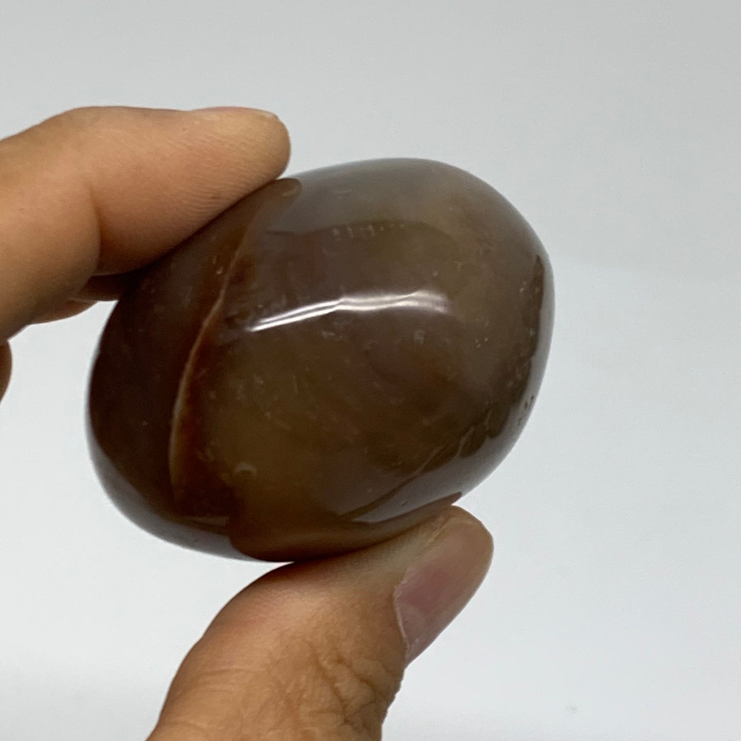 115.7g, 2.1"x1.8"x1.4" Natural Ocean Jasper Palm-Stone Orbicular Jasper, B38188