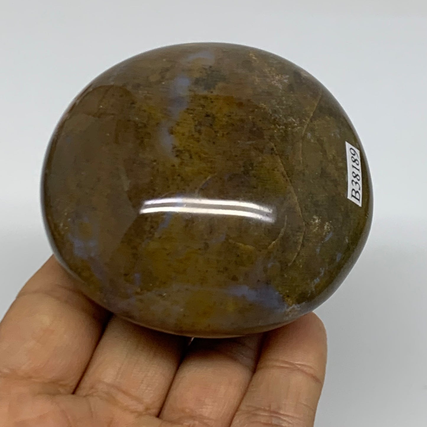 261g, 2.8"x2.7"x1.7" Natural Ocean Jasper Palm-Stone Orbicular Jasper, B38189