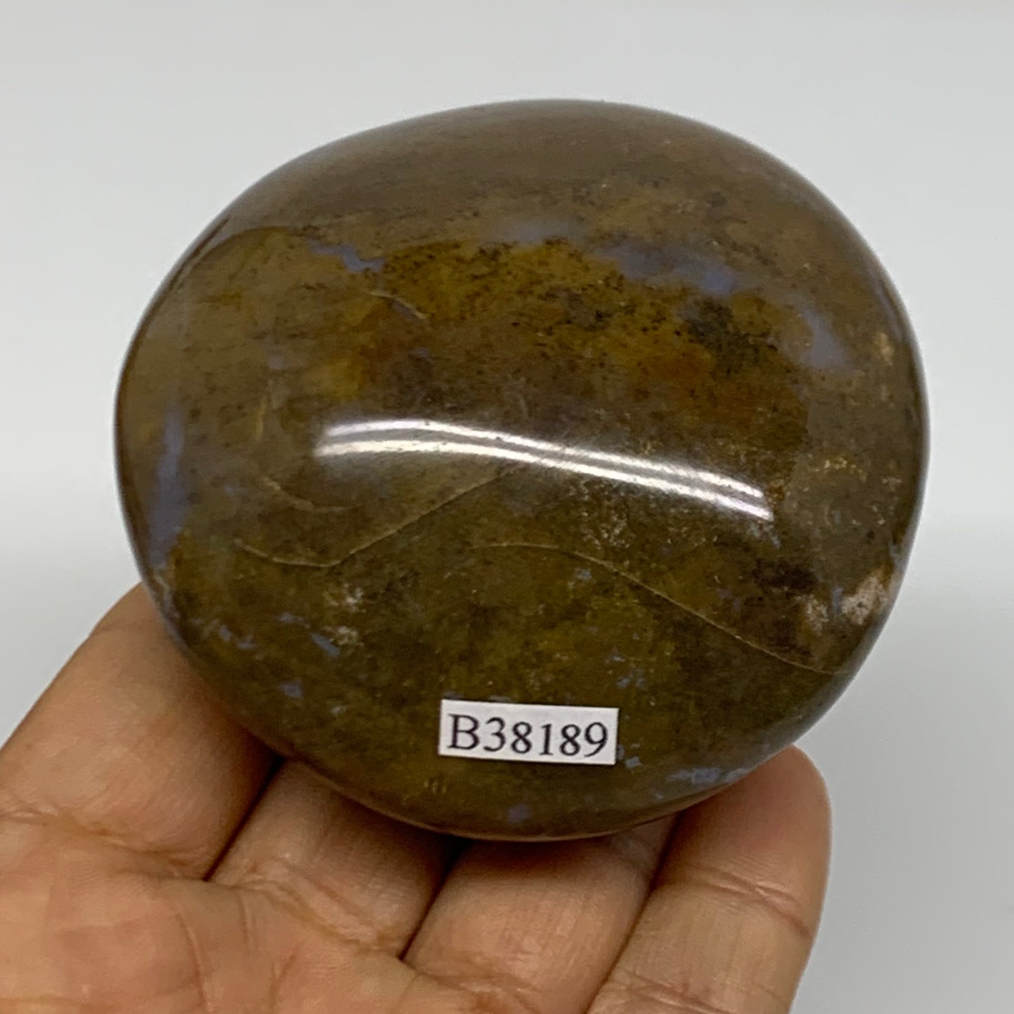 261g, 2.8"x2.7"x1.7" Natural Ocean Jasper Palm-Stone Orbicular Jasper, B38189