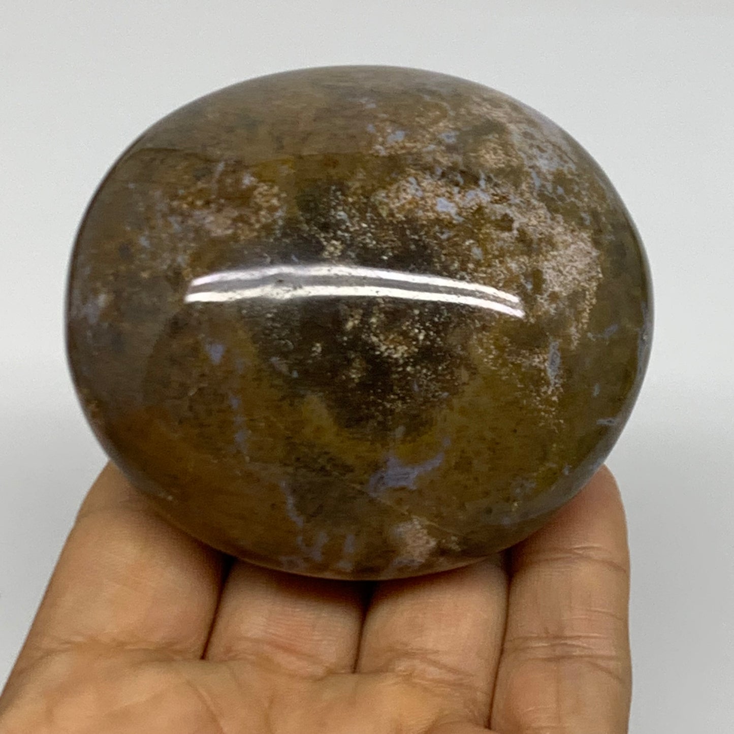 261g, 2.8"x2.7"x1.7" Natural Ocean Jasper Palm-Stone Orbicular Jasper, B38189