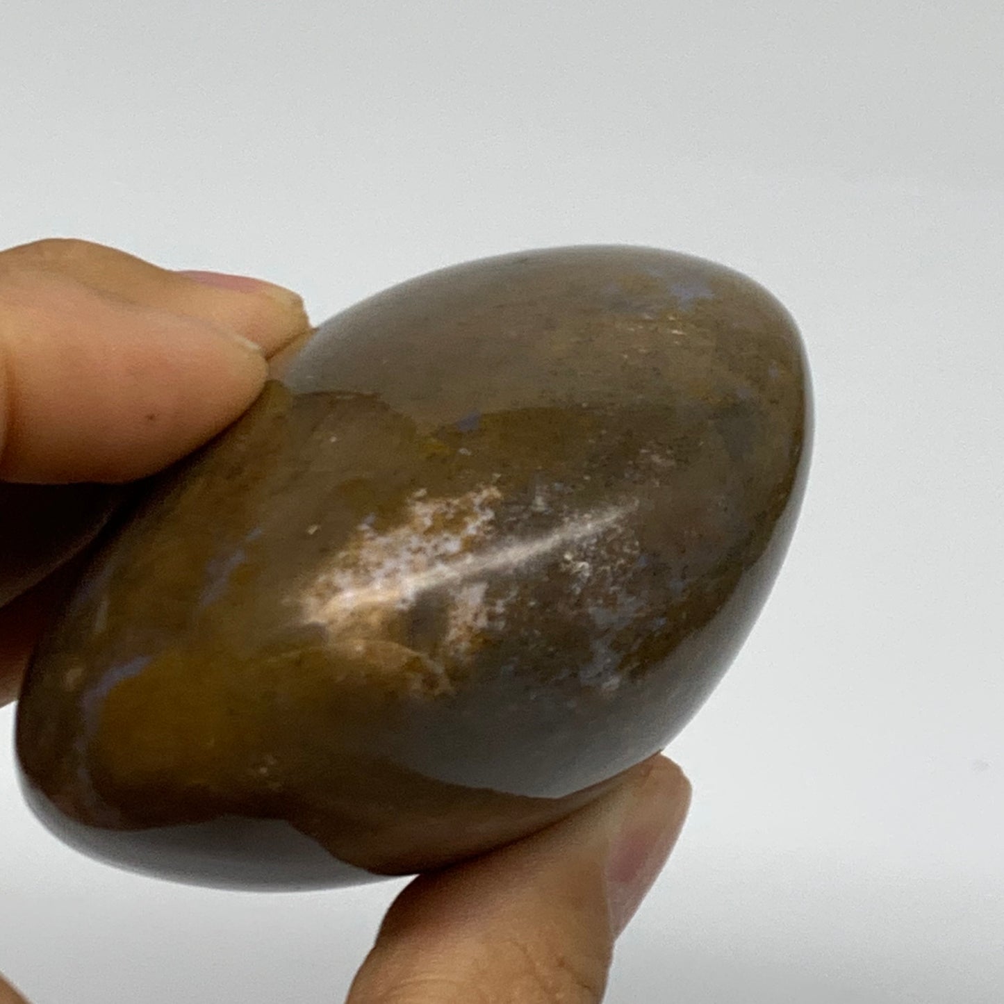 261g, 2.8"x2.7"x1.7" Natural Ocean Jasper Palm-Stone Orbicular Jasper, B38189