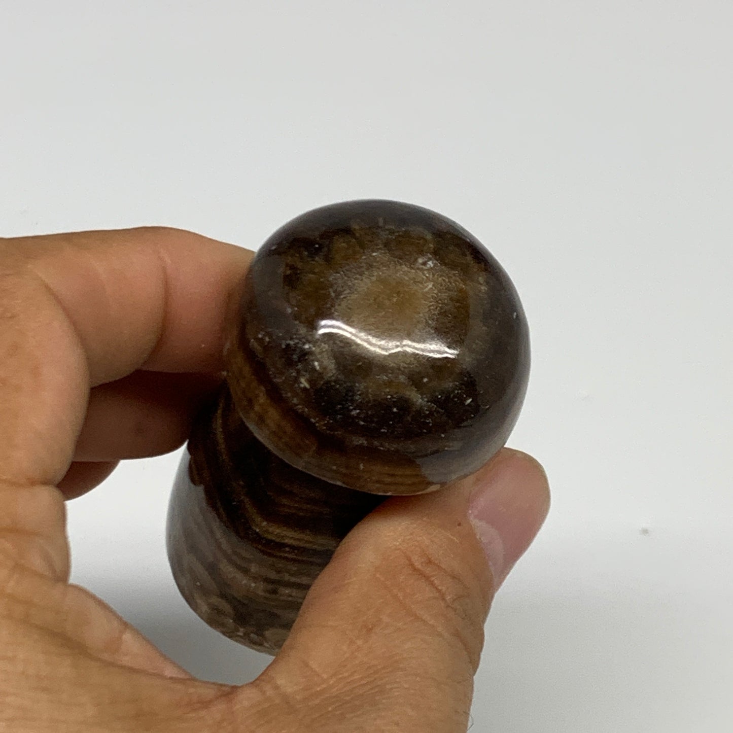 133.5g, 2.5"x1.4" Natural Chocolate Calcite Mushroom Gemstone @Pakistan, B30169